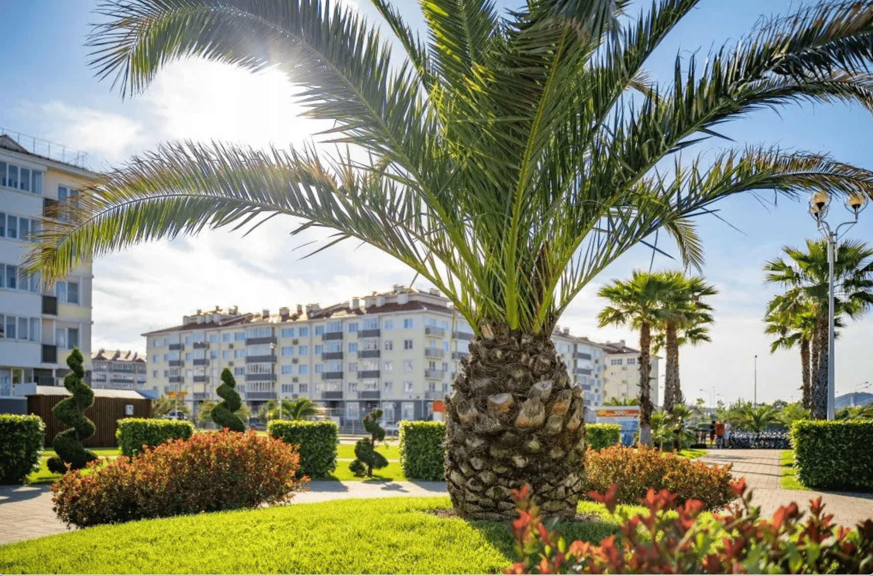 Азбука Английского Языка Сочи – языковой лагерь, Краснодарский край, Сириус. Путевки в детский лагерь на 2026 год, фото размещения 2