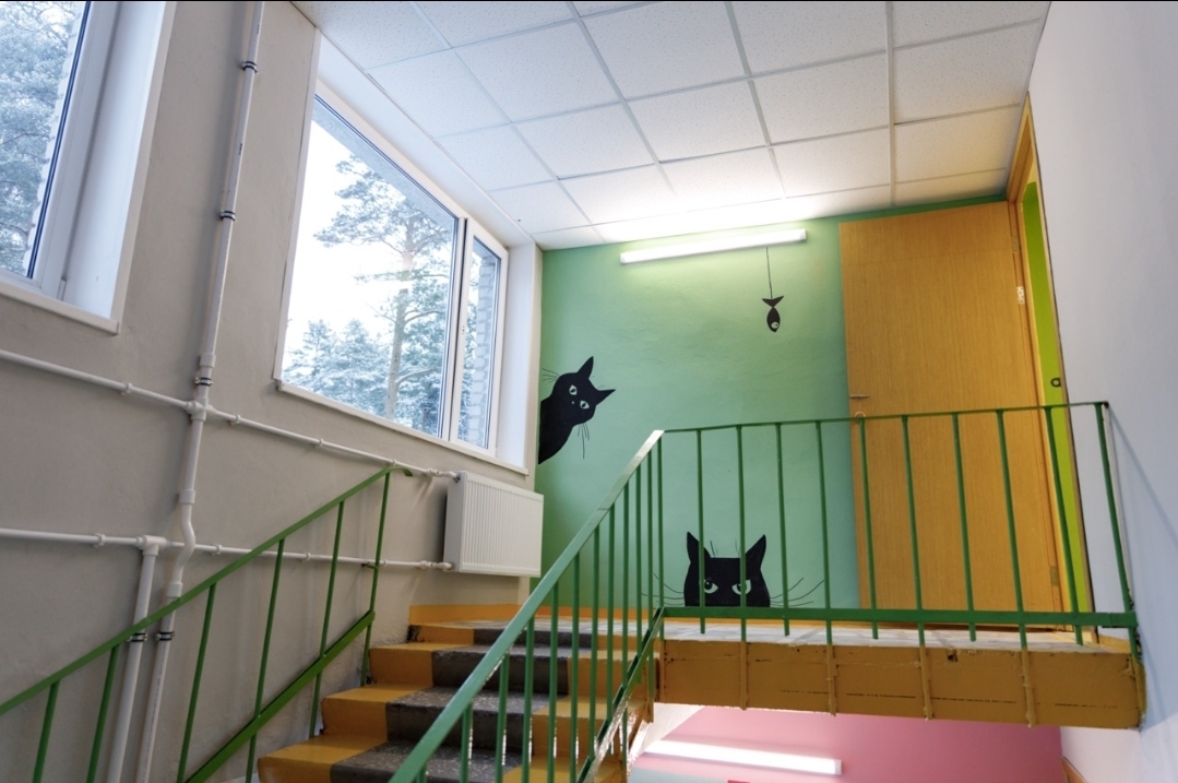 Кульбит. ДОЛ Ленинградец – спортивный лагерь, Ленинградская обл., Выборгский р-н. Путевки в детский лагерь на 2026 год, фото размещения 14