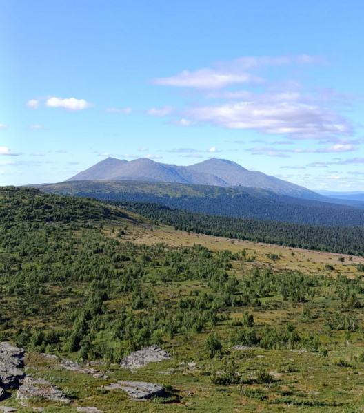 Робинзонада. Поход по Тулымскому кольцу – туристический лагерь, Пермский край. Путевки в детский лагерь на 2026 год, фото 10