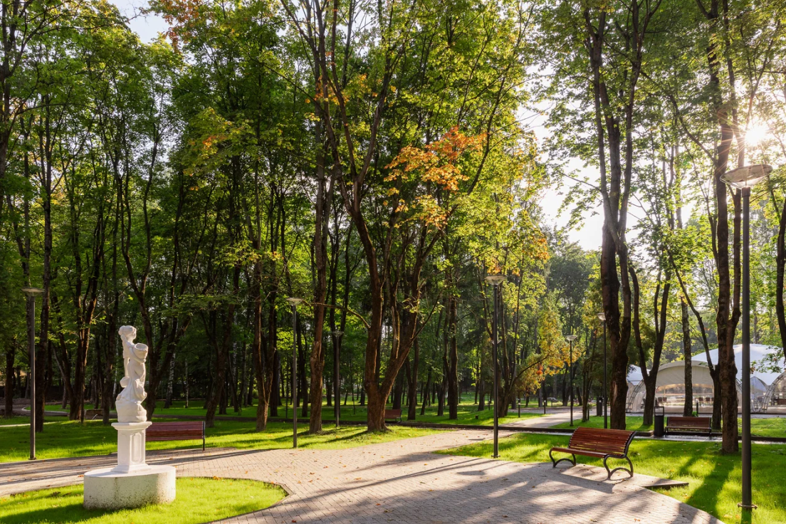 Oxford Camp Амакс 4* Classic – языковой лагерь, Московская обл., Истринский р-н. Путевки в детский лагерь на 2026 год, фото размещения 9