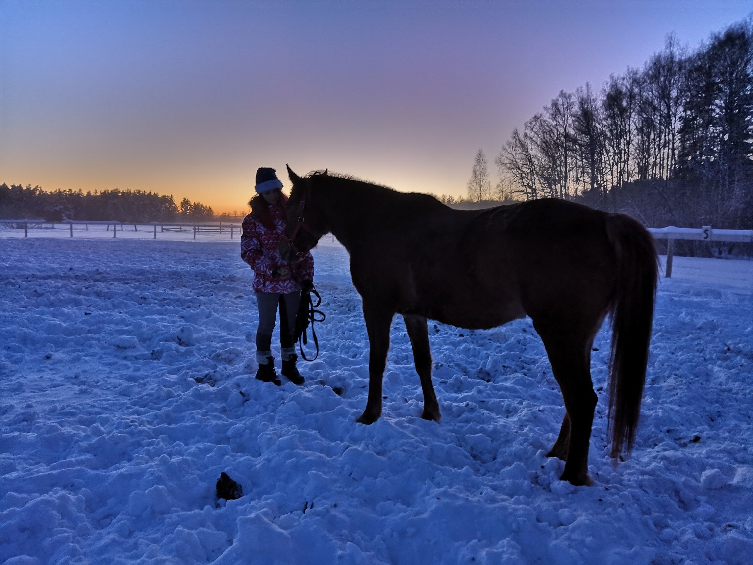 «Horse Paradise. Зимний» – спортивный лагерь, Владимирская обл., Петушинский район. Путевки в детский лагерь на 2023 год, фото 9
