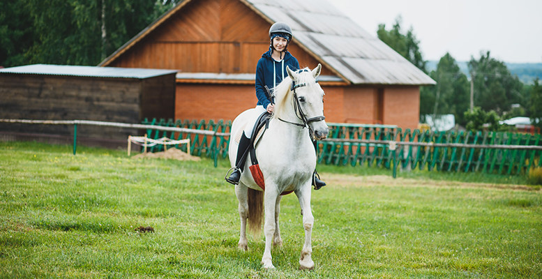 «Лагерь Командор» – Детский конный лагерь в Калужской области, фото 4