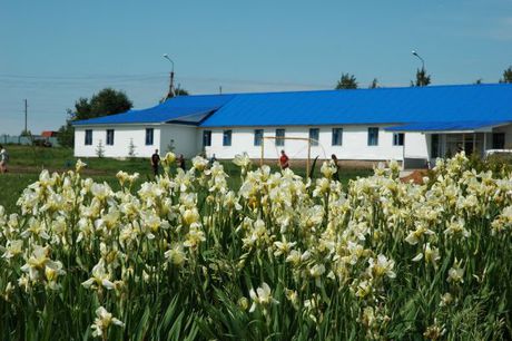 «ЭРУДИТ» – спортивный лагерь, Татарстан, Змеево. Путевки в детский лагерь на 2023 год, фото 4