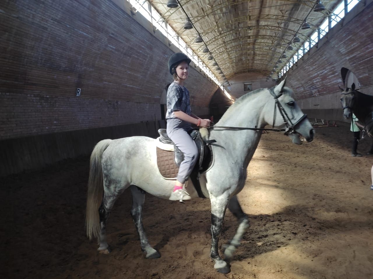 Программа На Волгу к лошадкам! – семейный лагерь, Тверская обл., Кимрский р-н. Путевки в детский лагерь на 2026 год, фото 8