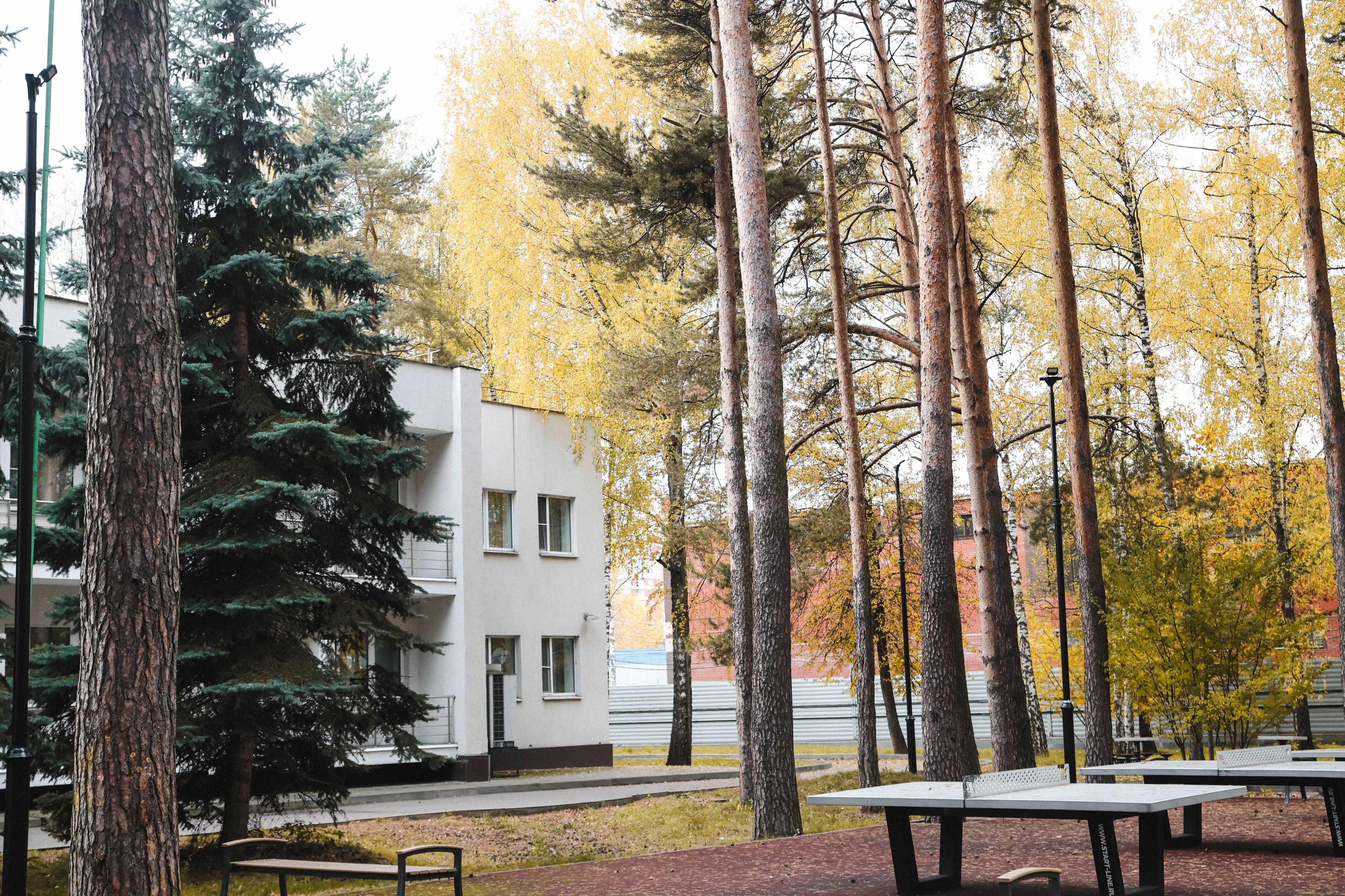 Enjoy Camp Роботы. Ёлочки – детская программа, Московская обл., Домодедово. Путевки на детские программы на 2026 год, фото размещения 2