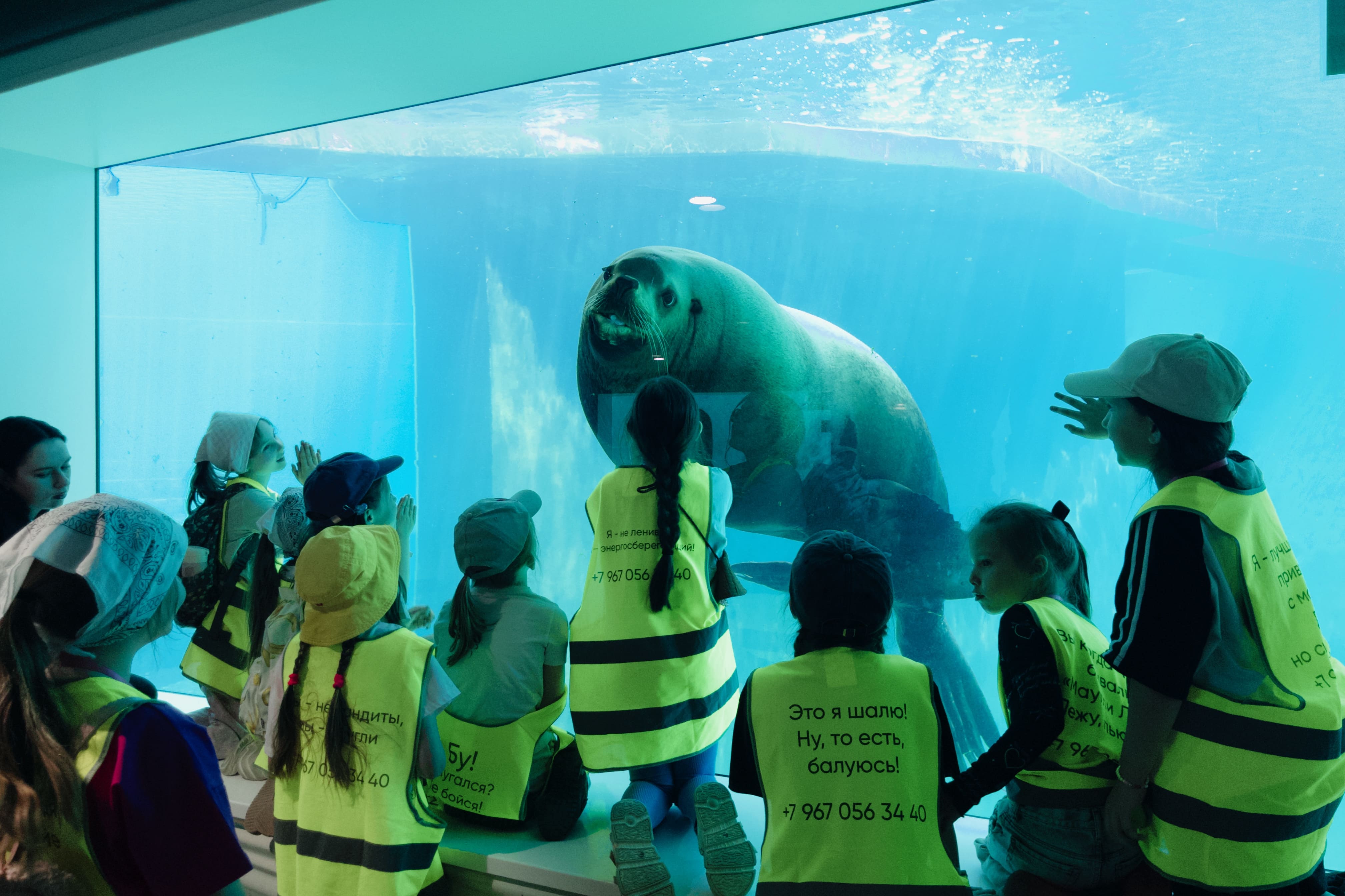 «Детский клуб Маугли Ленд в Московском зоопарке», Москва, м. Баррикадная – 3.