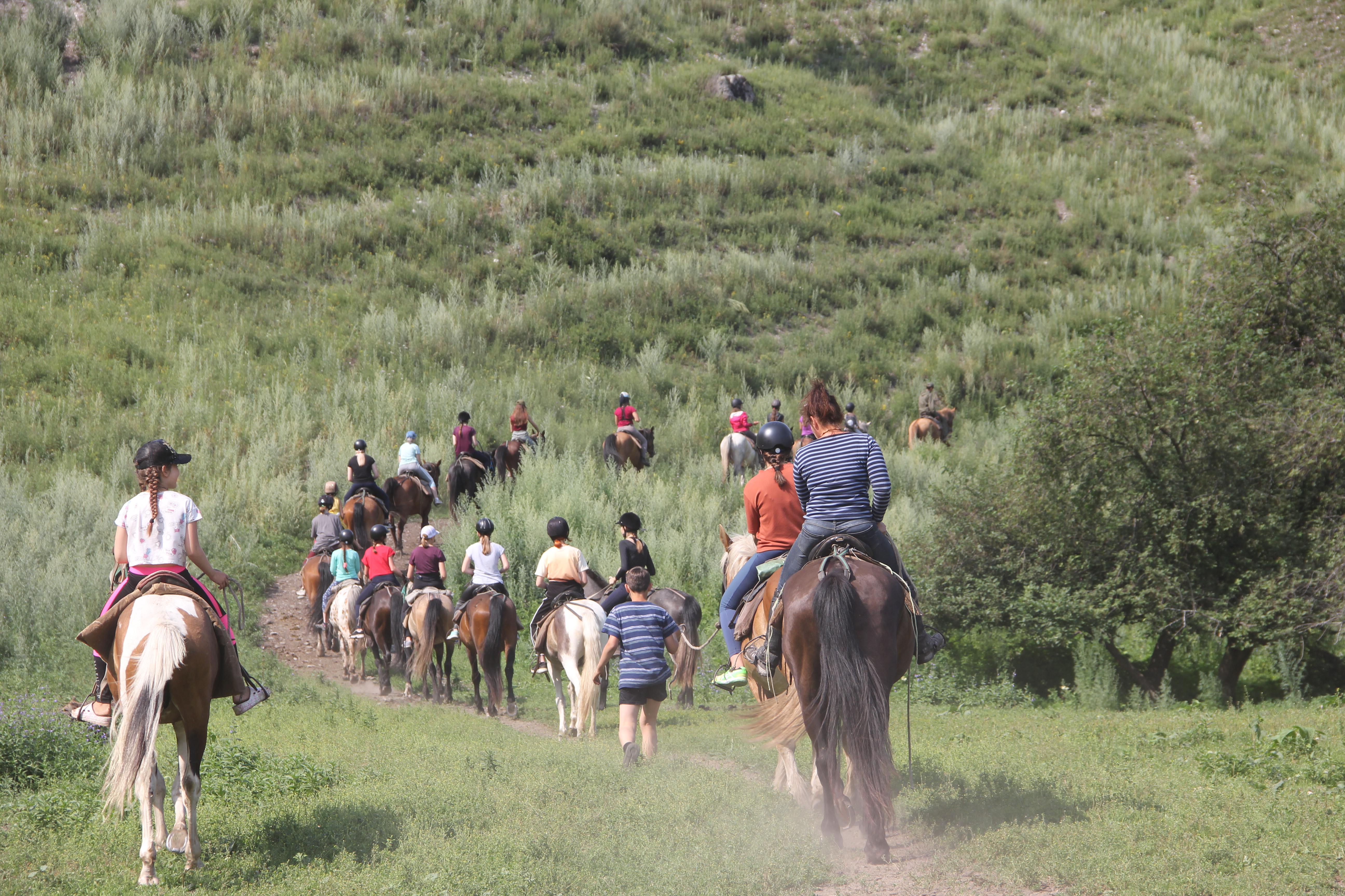 «Altai Spirits» – спортивный лагерь, Республика Алтай, Чемал. Путевки в детский лагерь на 2023 год, фото 1