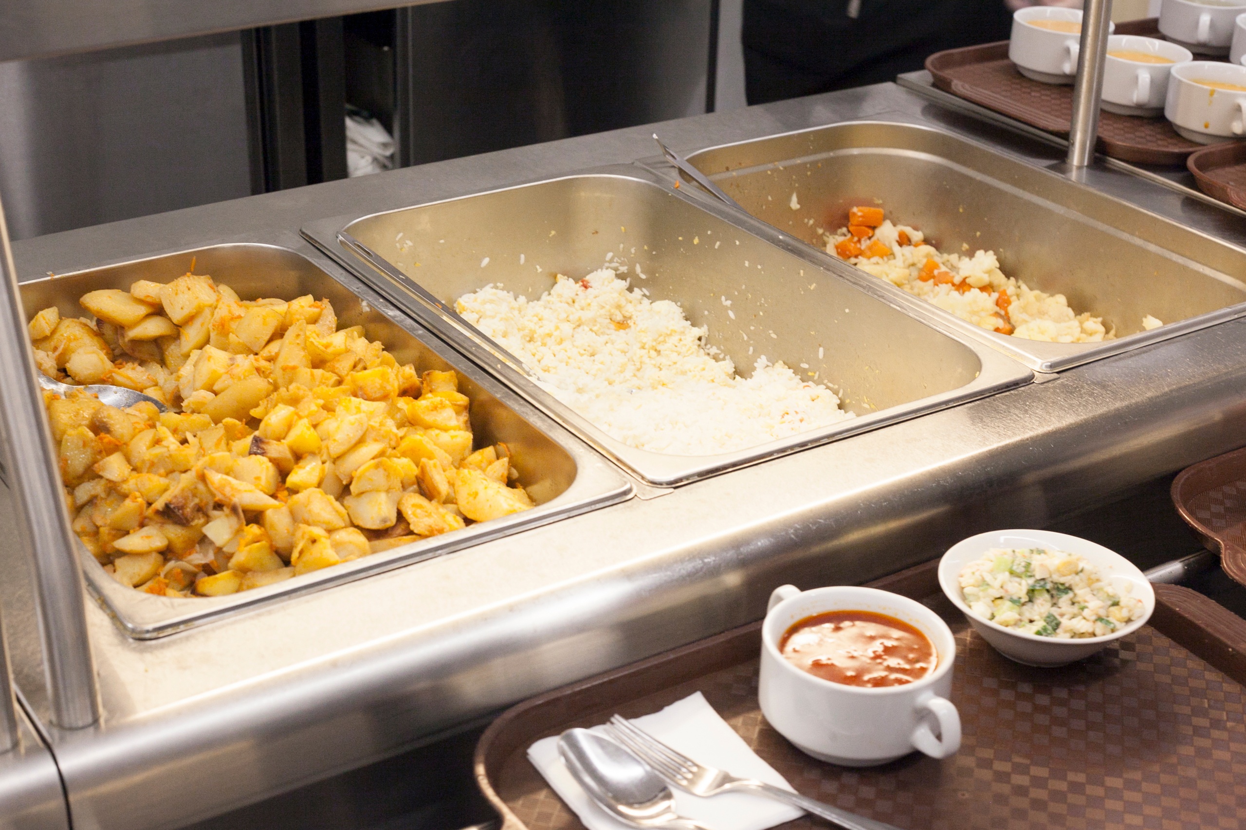 Enjoy Camp. English Жаворонки – языковой лагерь, Московская обл., Одинцово. Путевки в детский лагерь на 2026 год, фото питания 3