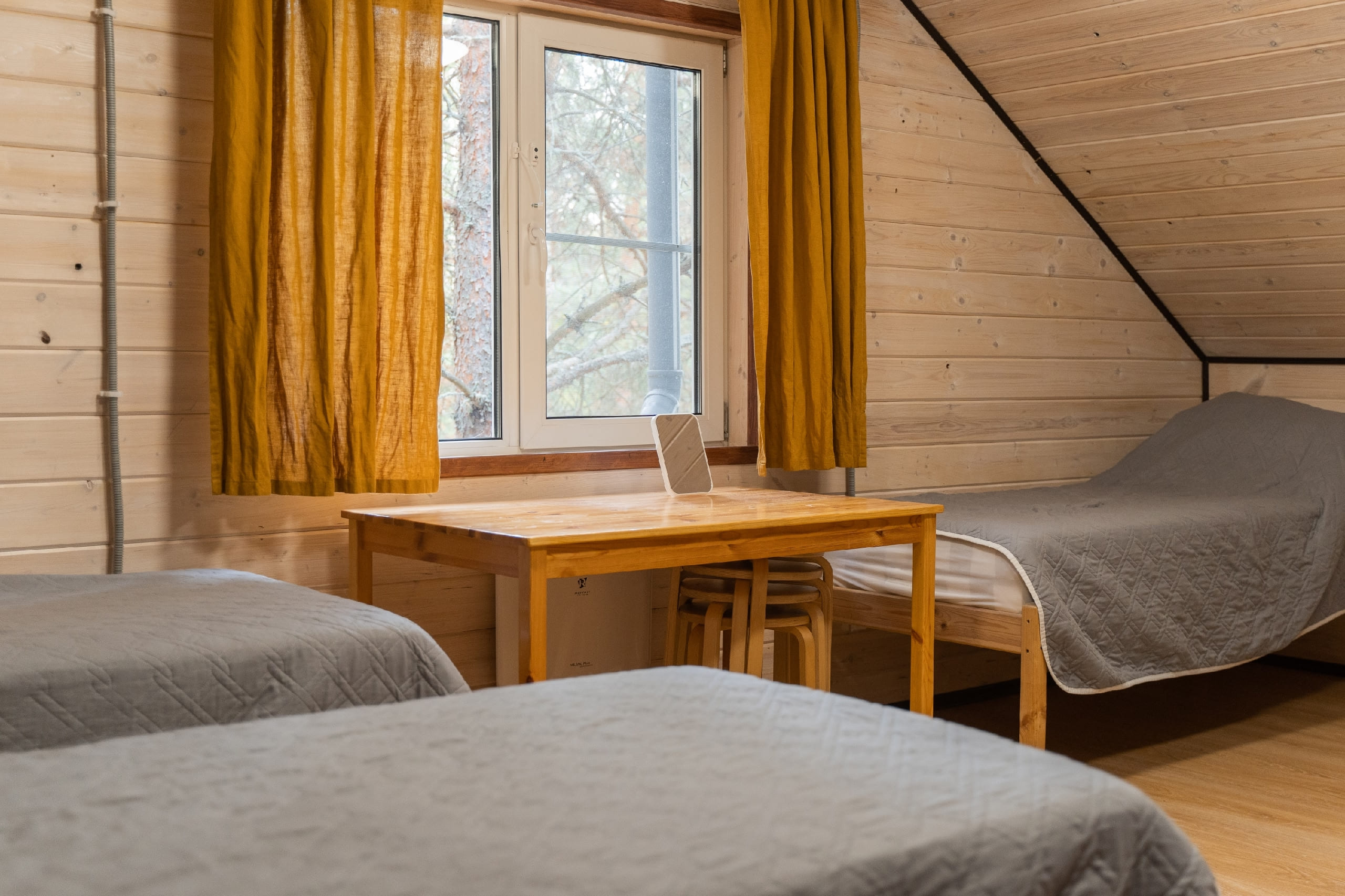 Terra Nostra Camp – детский лагерь, Московская обл., Шатура. Путевки в детский лагерь на 2026 год, фото размещения 2
