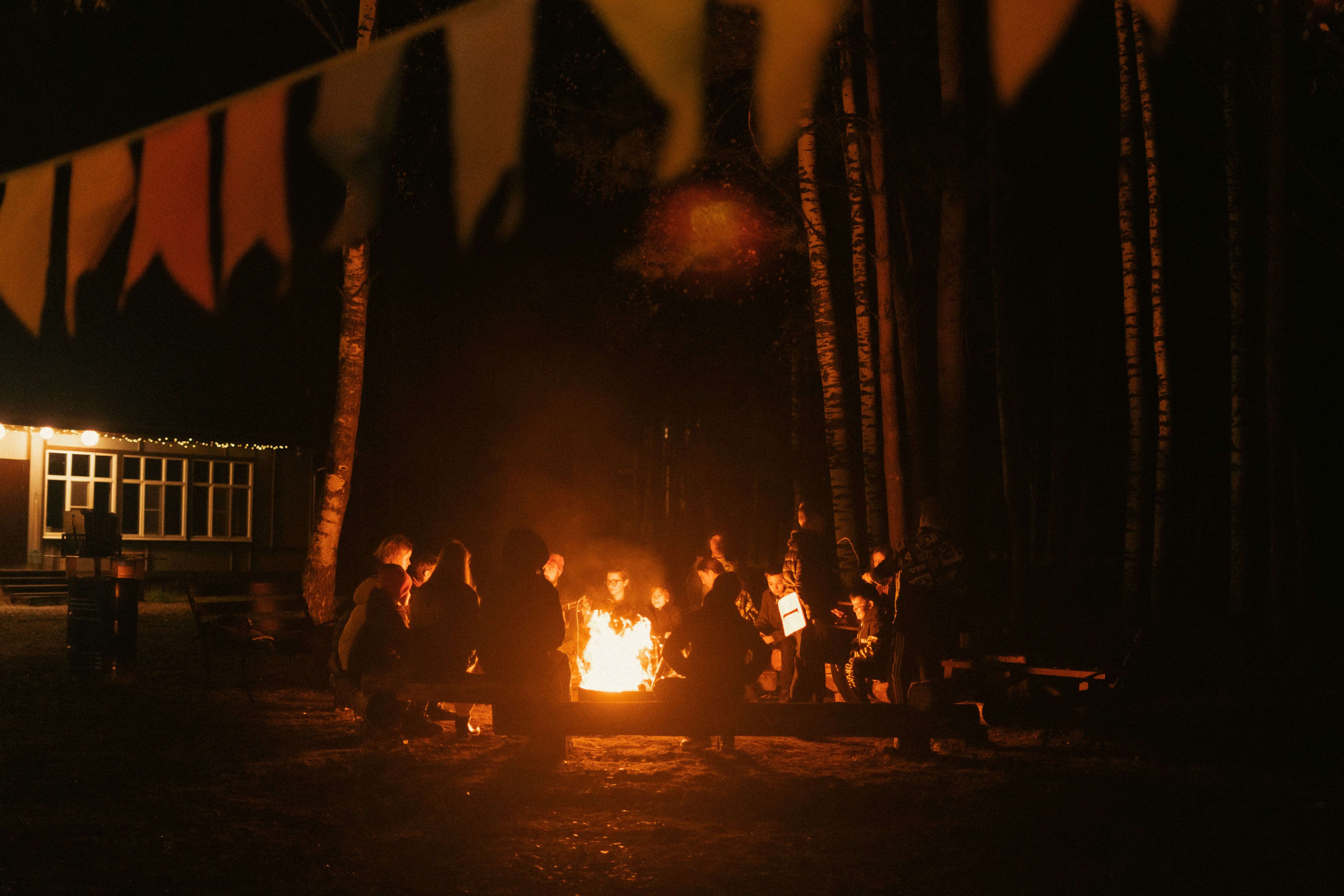 Terra Nostra Camp – туристический лагерь, Московская обл., Шатура. Путевки в детский лагерь на 2025-2026 год, фото 7