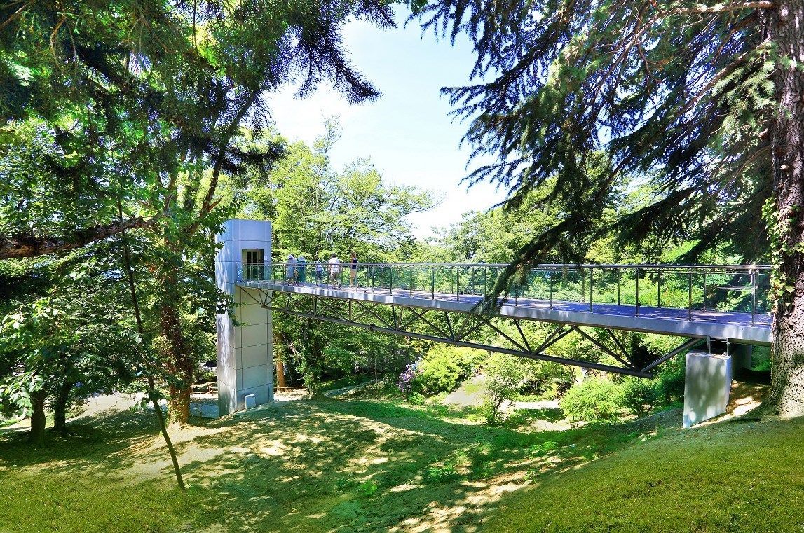 PROWE Campus Black Sea – языковой лагерь, Краснодарский Край, Сочи. Путевки в детский лагерь на 2026-2027 год, фото размещения 11