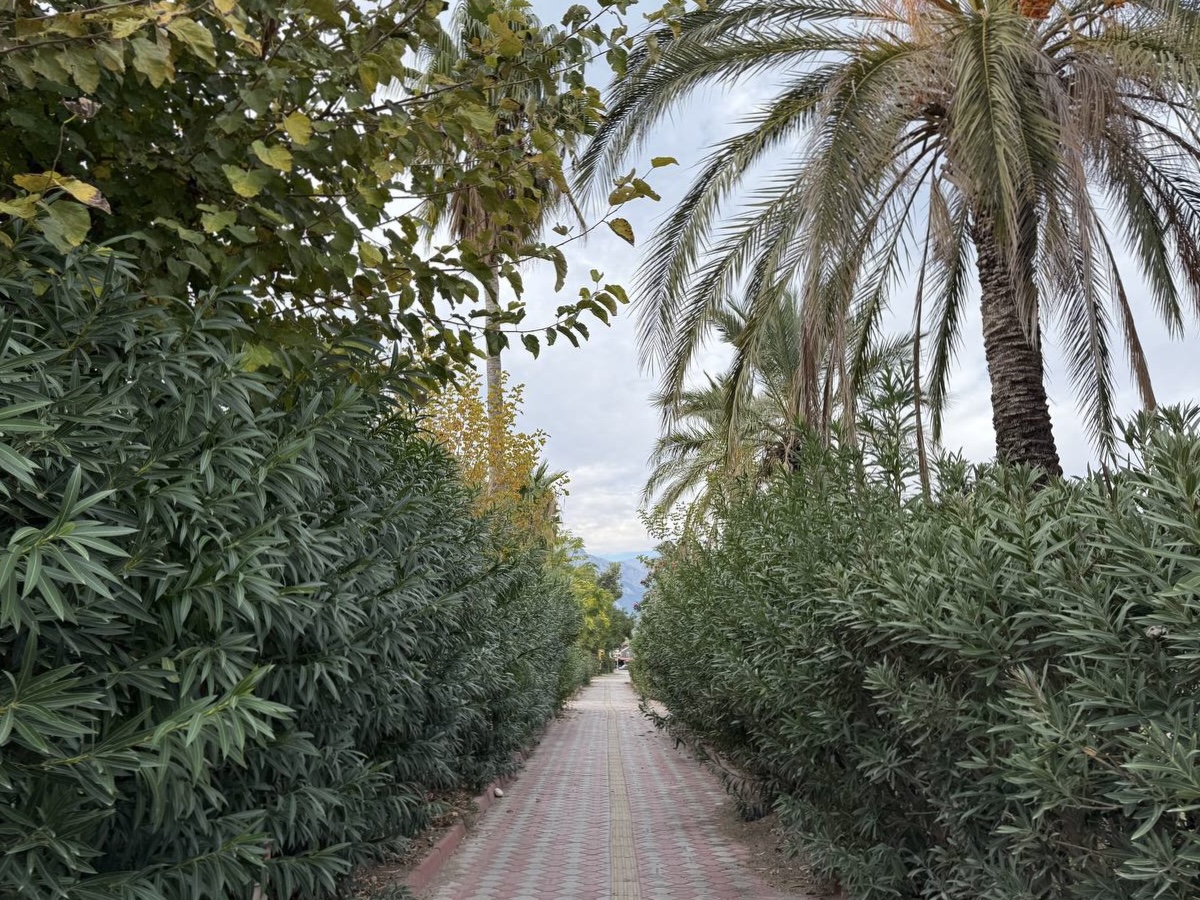 FillCamp Турция – языковой лагерь, Турция, Кемер. Путевки в детский лагерь на 2026 год, фото размещения 9