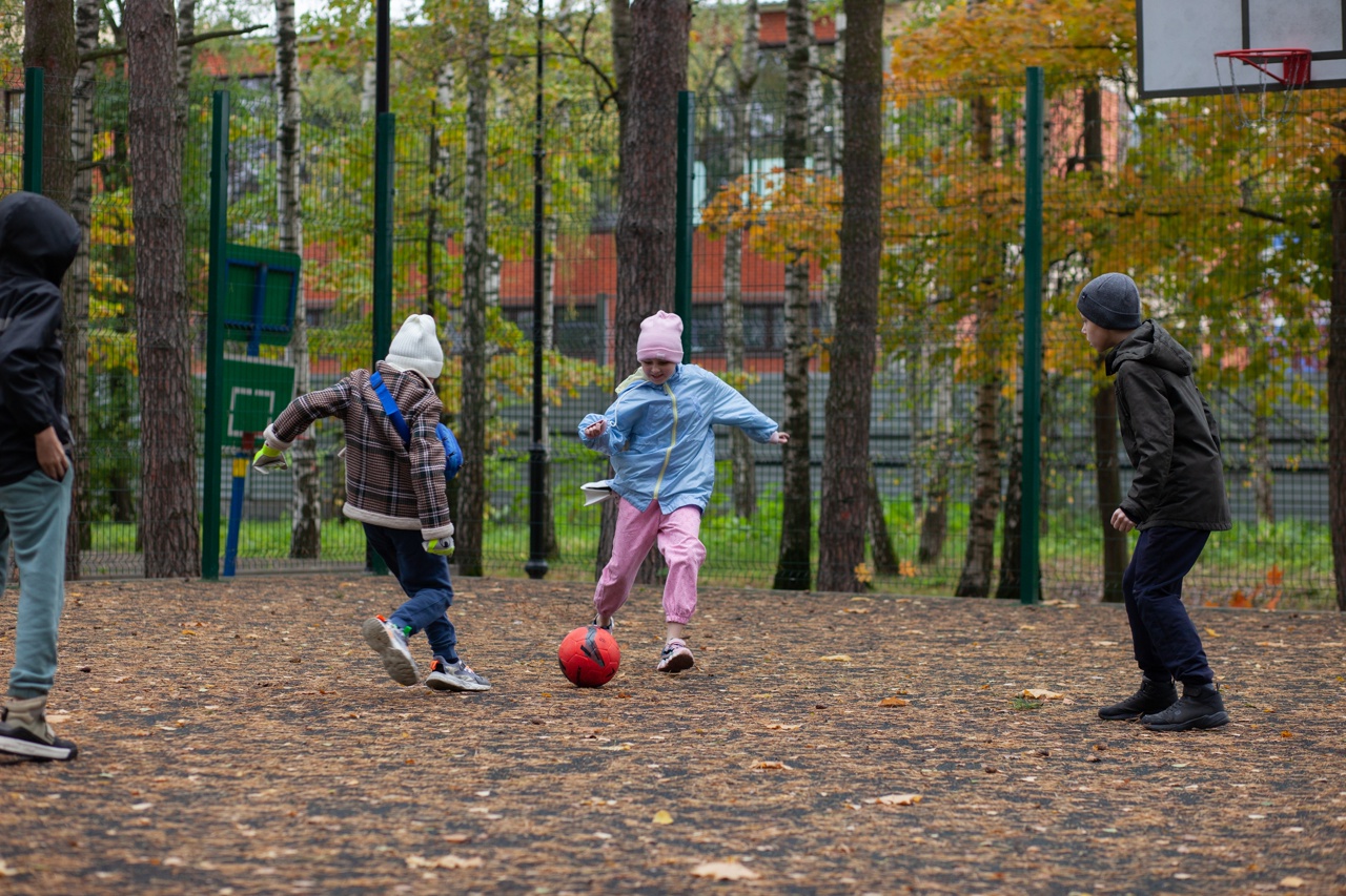 «Enjoy Camp. English Ёлочки», Московская обл., Домодедово – 2.