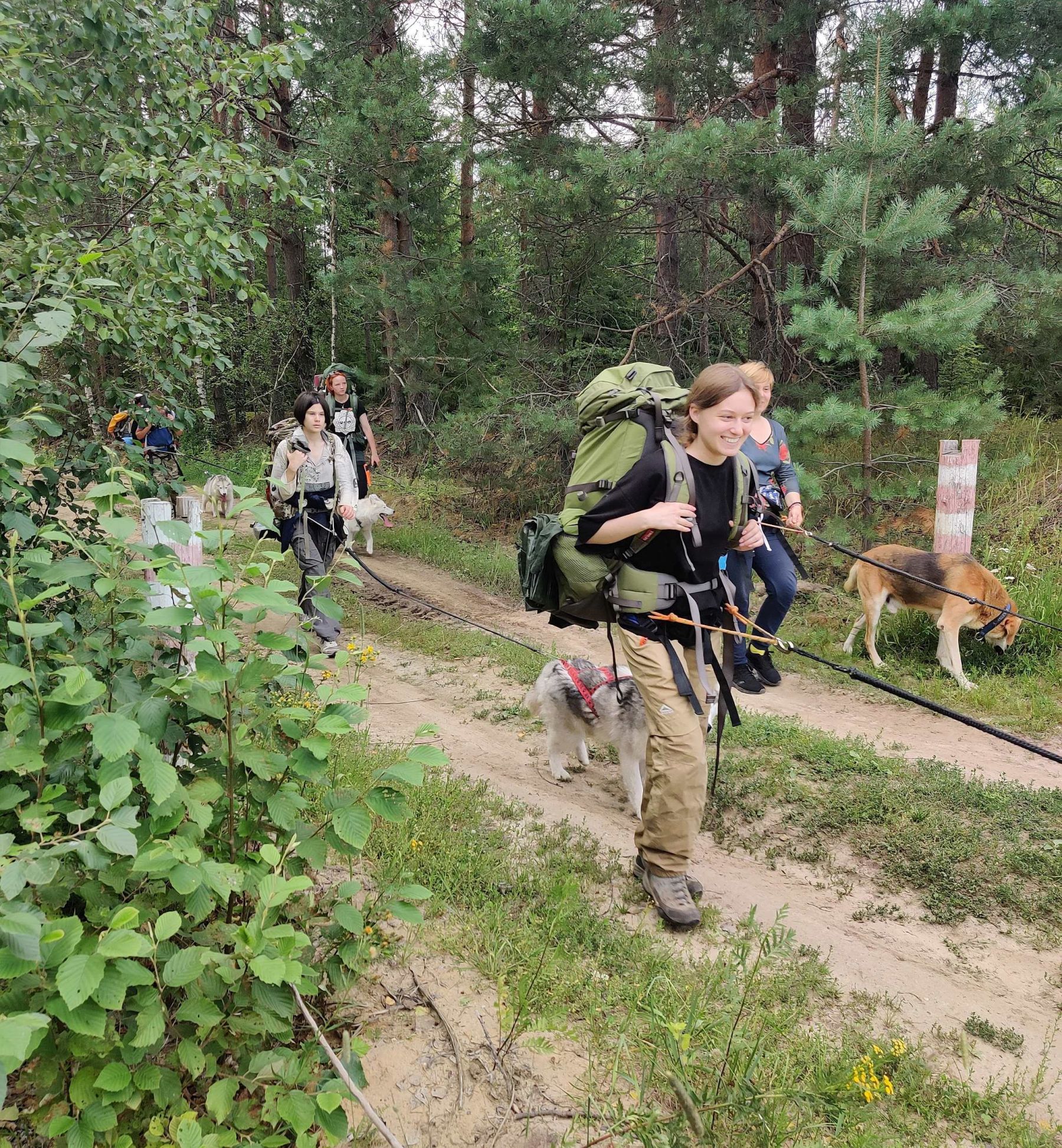 Зов Севера. Коллекция Приключений – детская программа, Костромская обл., Нейский р-н. Путевки на детские программы на 2026 год, фото программы 4