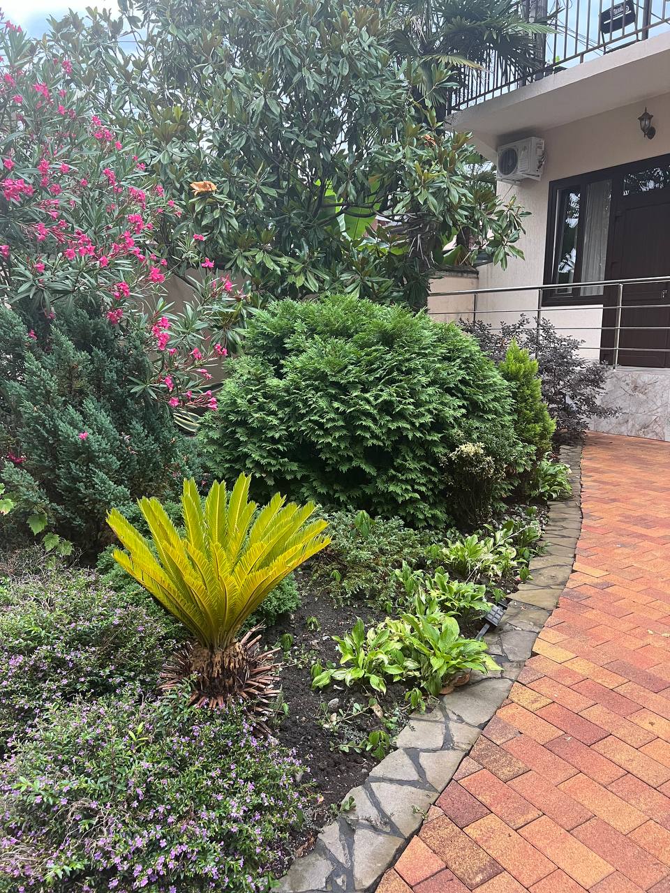 Step&Level Camp – языковой лагерь, Россия, Краснодарский край. Путевки в детский лагерь на 2026 год, фото размещения 4