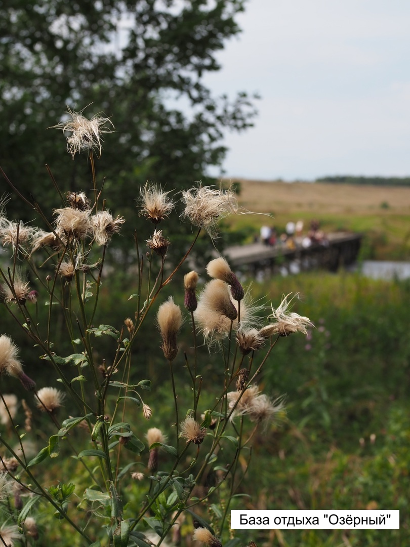 Элинор – творческий лагерь, Московская обл., 2 локации. Путевки в детский лагерь на 2026 год, фото размещения 7
