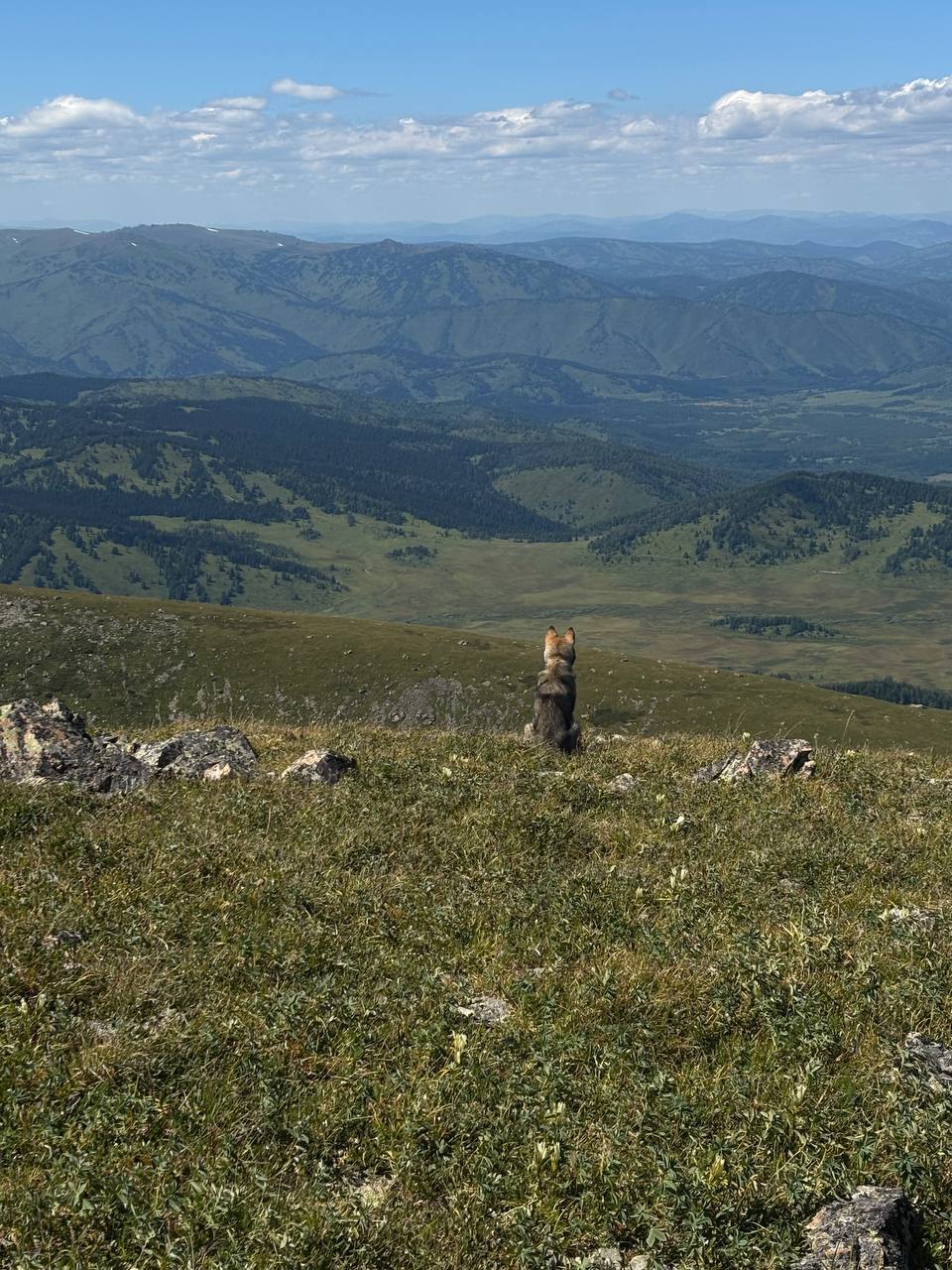 Altai Spirits. Конный поход для подростков на Алтае – туристический лагерь, Республика Алтай, Чемальский р-н. Путевки в детский лагерь на 2026 год, фото программы 10