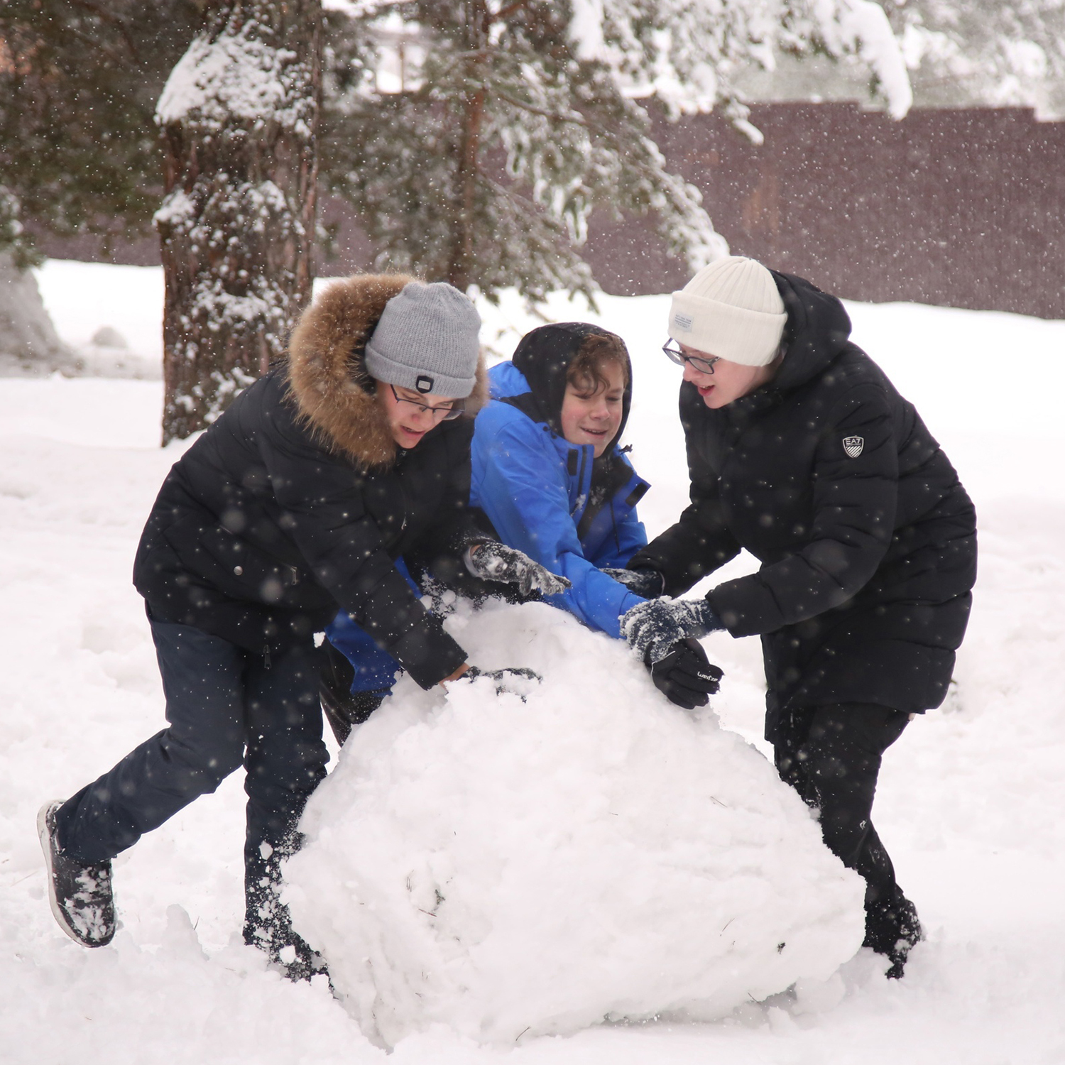 «Лаборатория Приключений. Зеленый городок», Московская обл., Пушкинский р-н – 2.