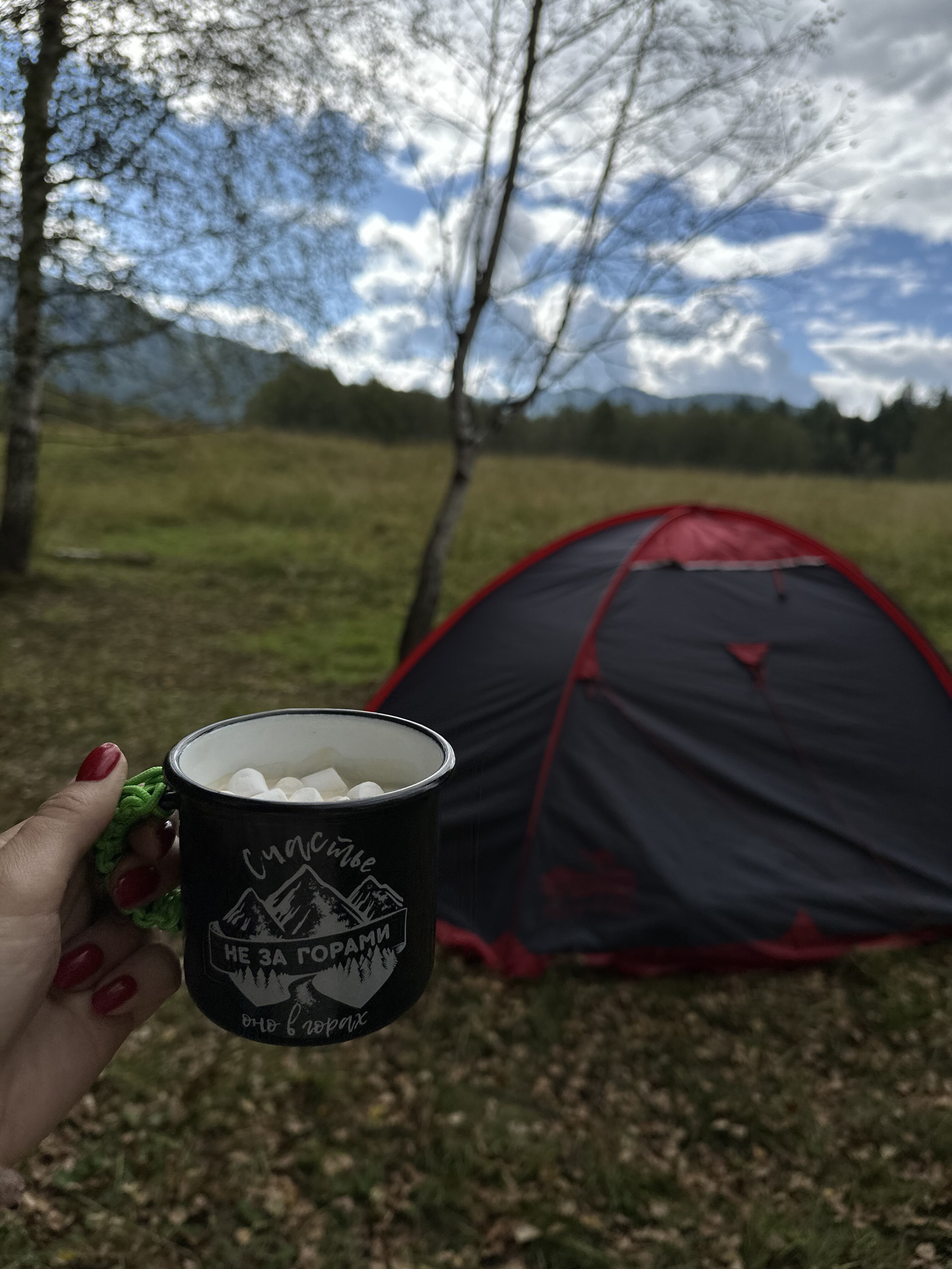 Altai Spirits. Конный поход для подростков на Алтае – туристический лагерь, Республика Алтай, Чемальский р-н. Путевки в детский лагерь на 2026 год, фото размещения 3