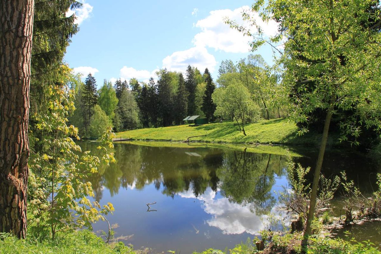 Летние театральные сборы студии Ирбис в Подмосковье – творческий лагерь, Московская обл., 2 локации. Путевки в детский лагерь на 2026 год, фото размещения 8