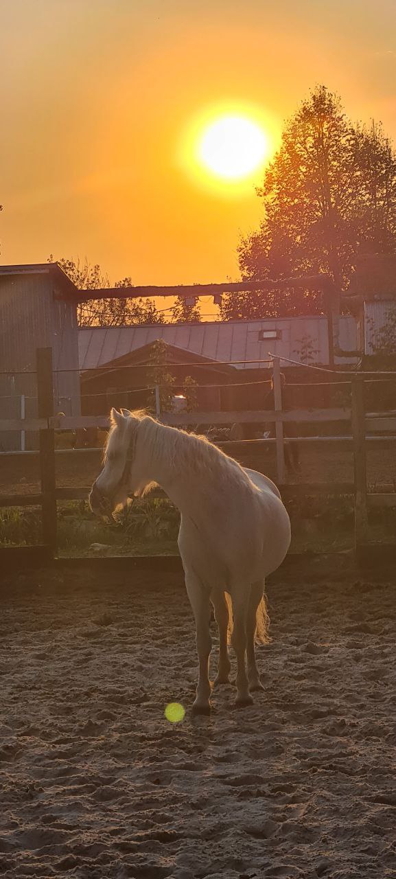 Лагерь Юайти. 4 Сезона – IT и математический лагерь, Московская обл., Серпуховский р-н. Путевки в детский лагерь на 2026 год, фото программы 6