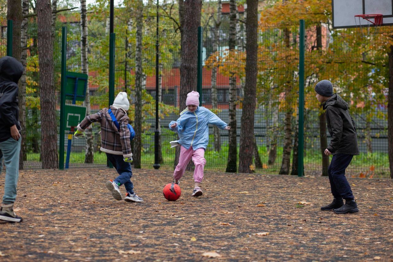 Enjoy Camp. English Level Up Ёлочки – языковой лагерь, Московская обл., Домодедово. Путевки в детский лагерь на 2026-2027 год, фото программы 1
