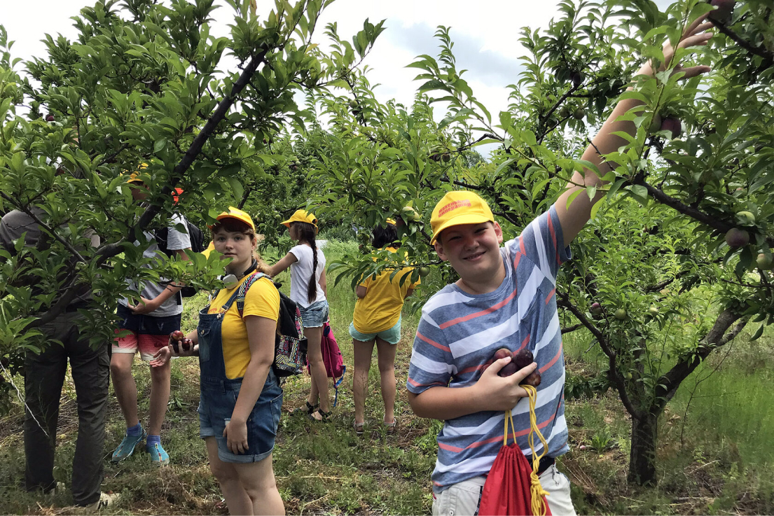 Oxford Camp Китай  – детская программа, Китай, Инкоу — Пекин. Путевки на детские программы на 2026 год, фото 9
