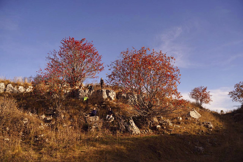 Робинзонада. Осенние краски Адыгеи – туристический лагерь, Республика Адыгея. Путевки в детский лагерь на 2023-2024 год, фото 7
