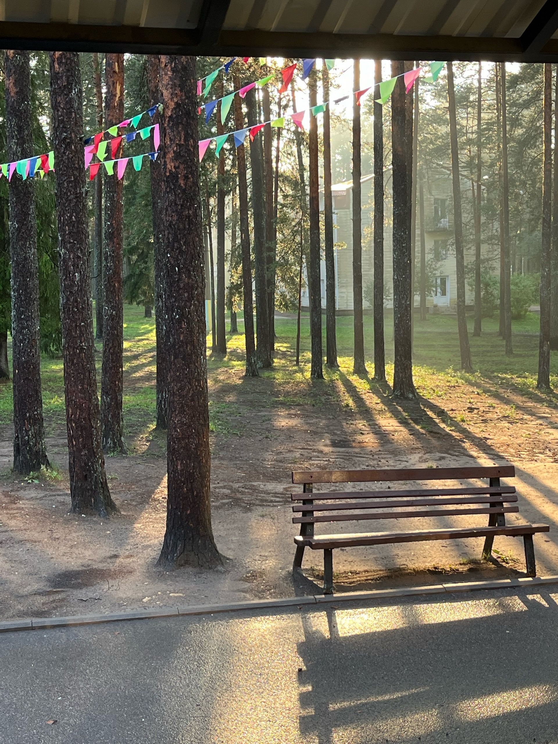 Творческий лагерь ArtCamp в ДОЛ Восход – творческий лагерь, Ленинградская обл., Лужский р-н. Путевки в детский лагерь на 2026 год, фото размещения 1