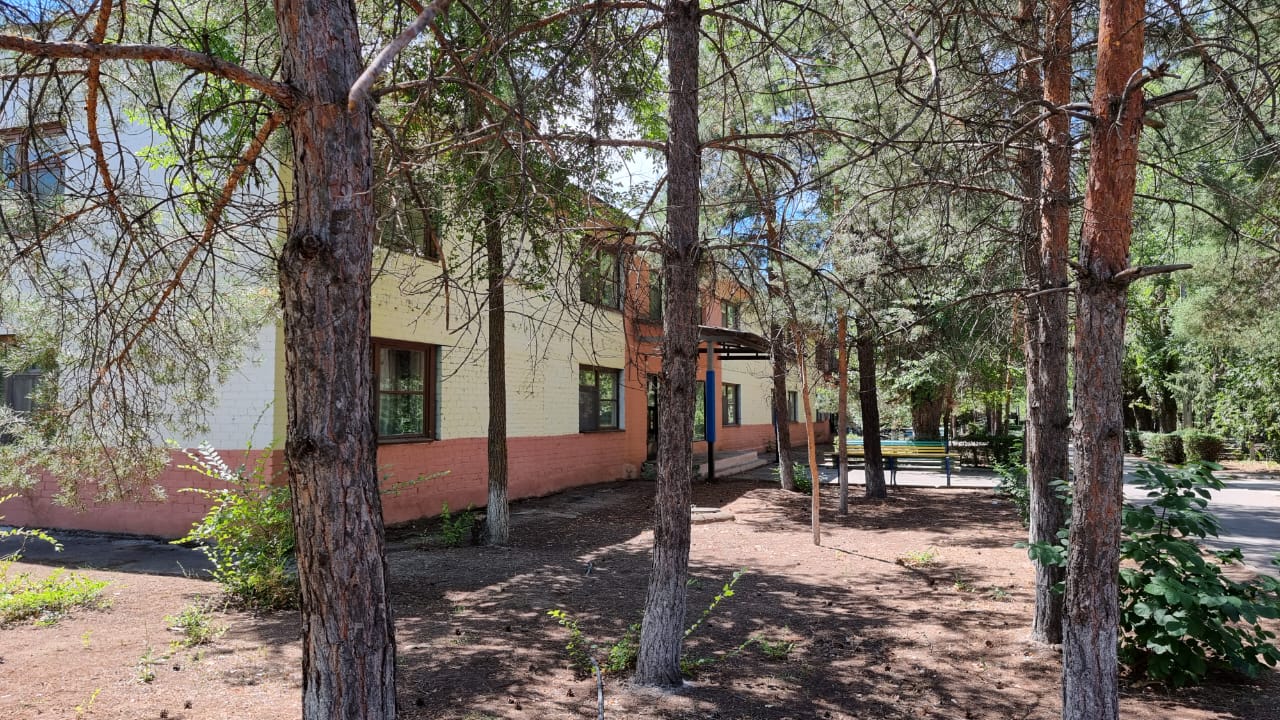 Лингвистическая программа Путешествие в Сафари – детская программа, Волгоградская обл., Среднеахтубинский р-н. Путевки на детские программы на 2026 год, фото размещения 1