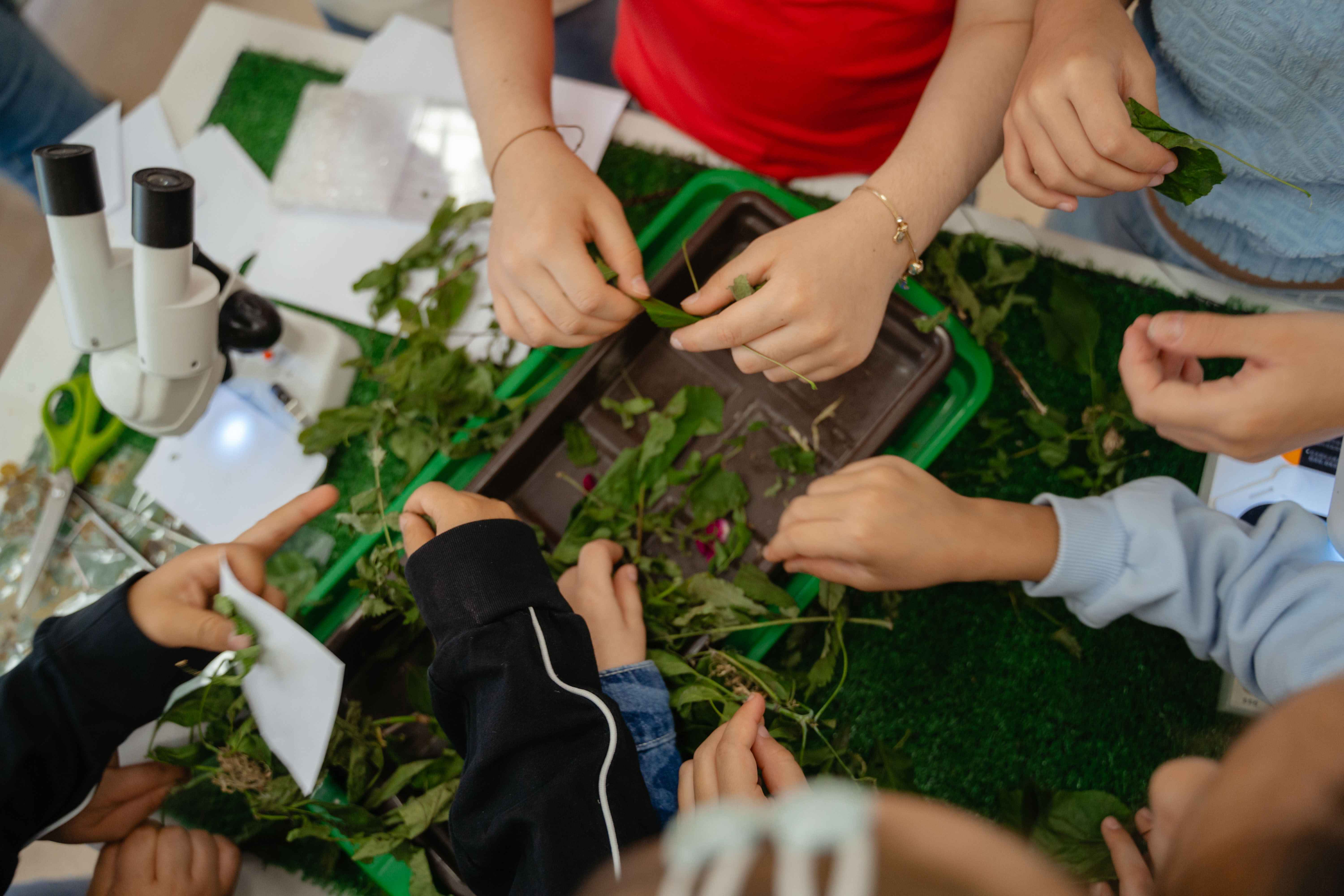 ONE! URBAN CAMP – городской лагерь, Москва, 2 локации. Путевки в детский лагерь на 2026 год, фото 7