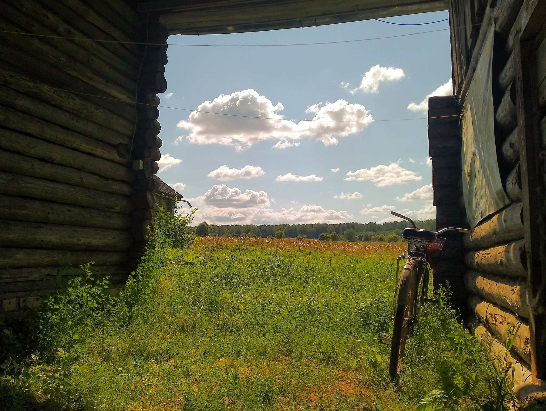 Зов Севера. Коллекция Приключений – детская программа, Костромская обл., Нейский р-н. Путевки на детские программы на 2026 год, фото программы 7