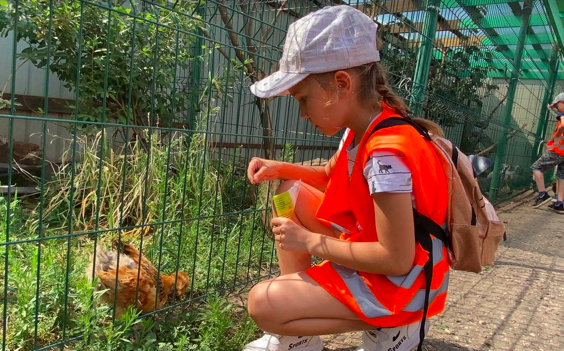 Smart Kids – городской лагерь, Чебоксары, 2 локации. Путевки в детский лагерь на 2026-2027 год, фото программы 3