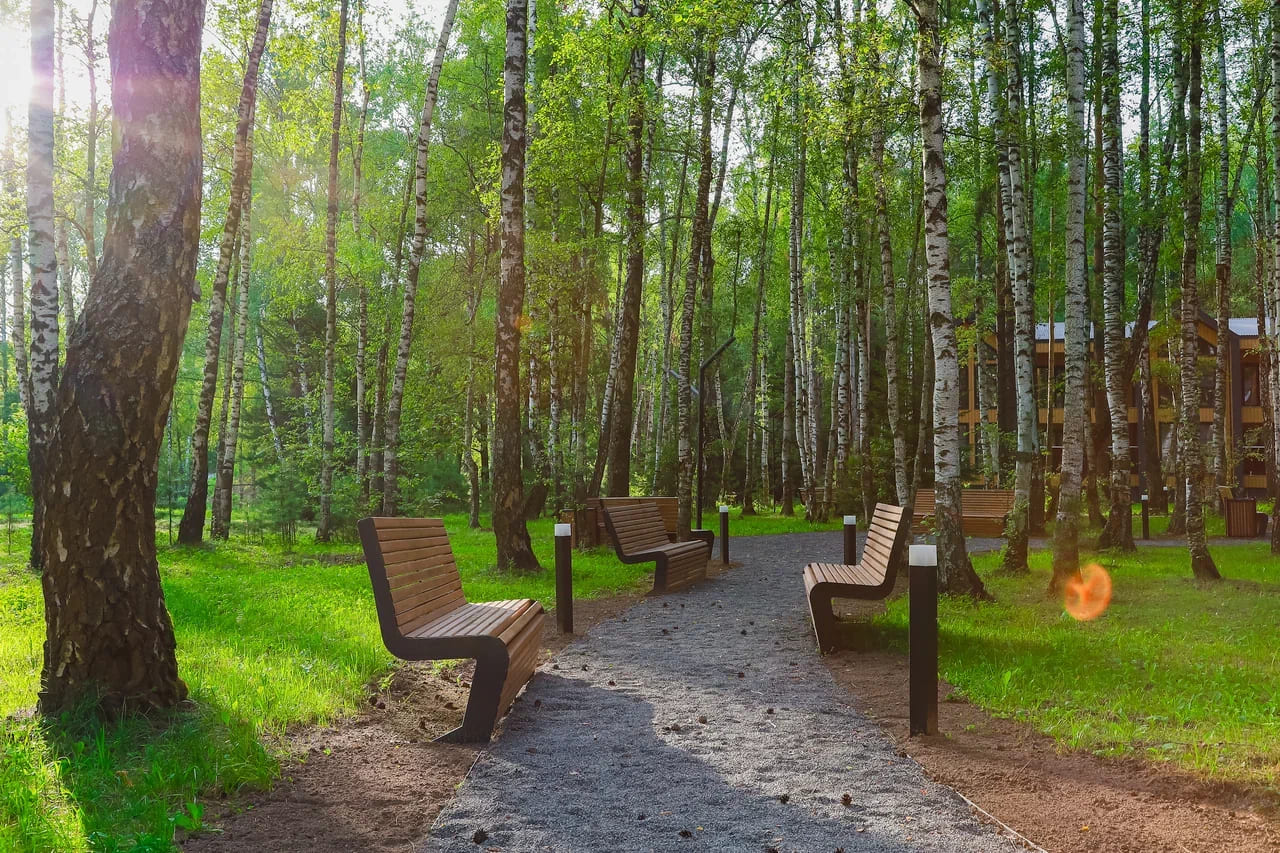 Enjoy Camp English Салют – языковой лагерь, Московская обл., Домодедово. Путевки в детский лагерь на 2026-2027 год, фото размещения 13