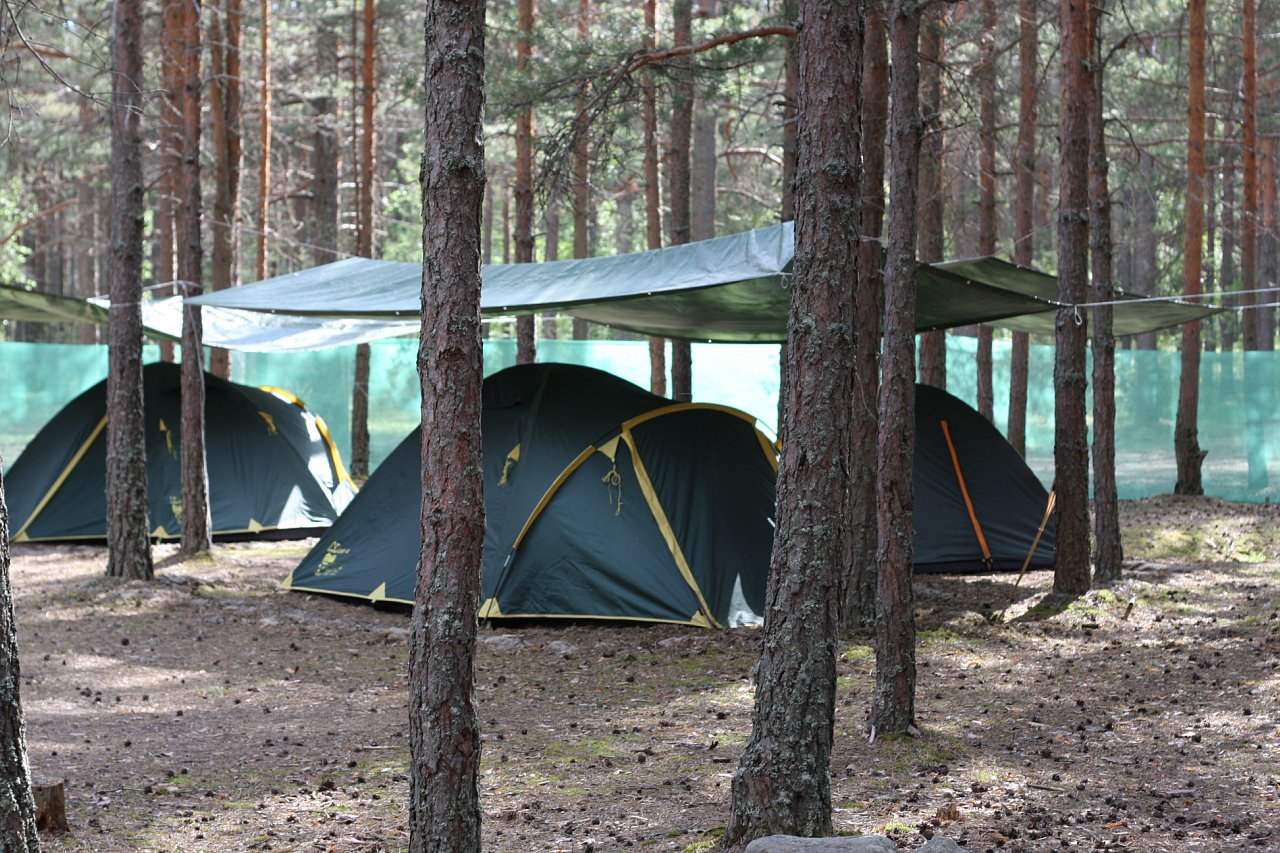 «Медведь» – Палаточный лагерь в Ленинградской области, фото размещения 1