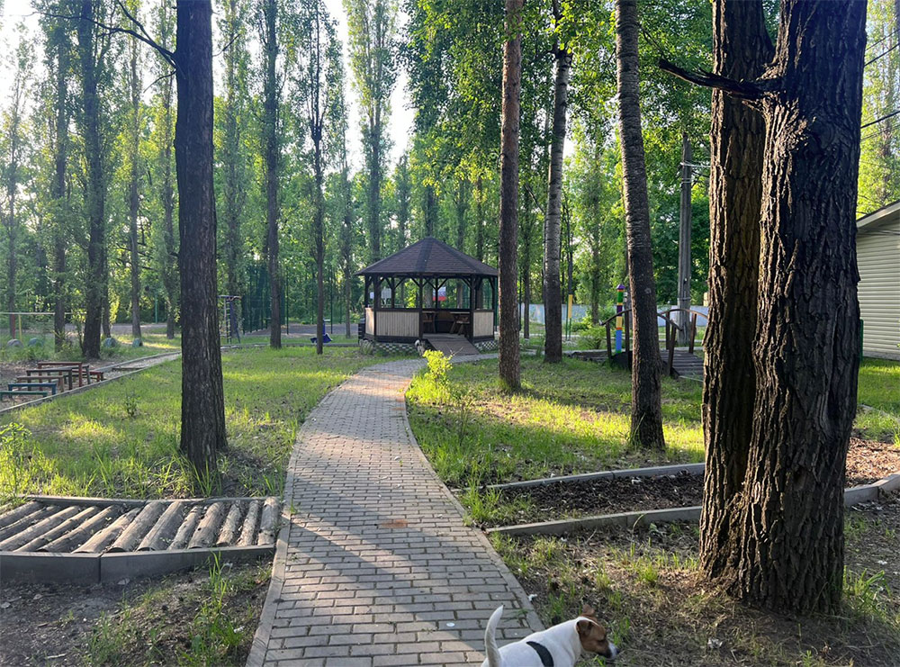 Экстремальный Юг. Липецк – детская программа, Липецкая обл., Грязинский р-н. Путевки на детские программы на 2026 год, фото размещения 5
