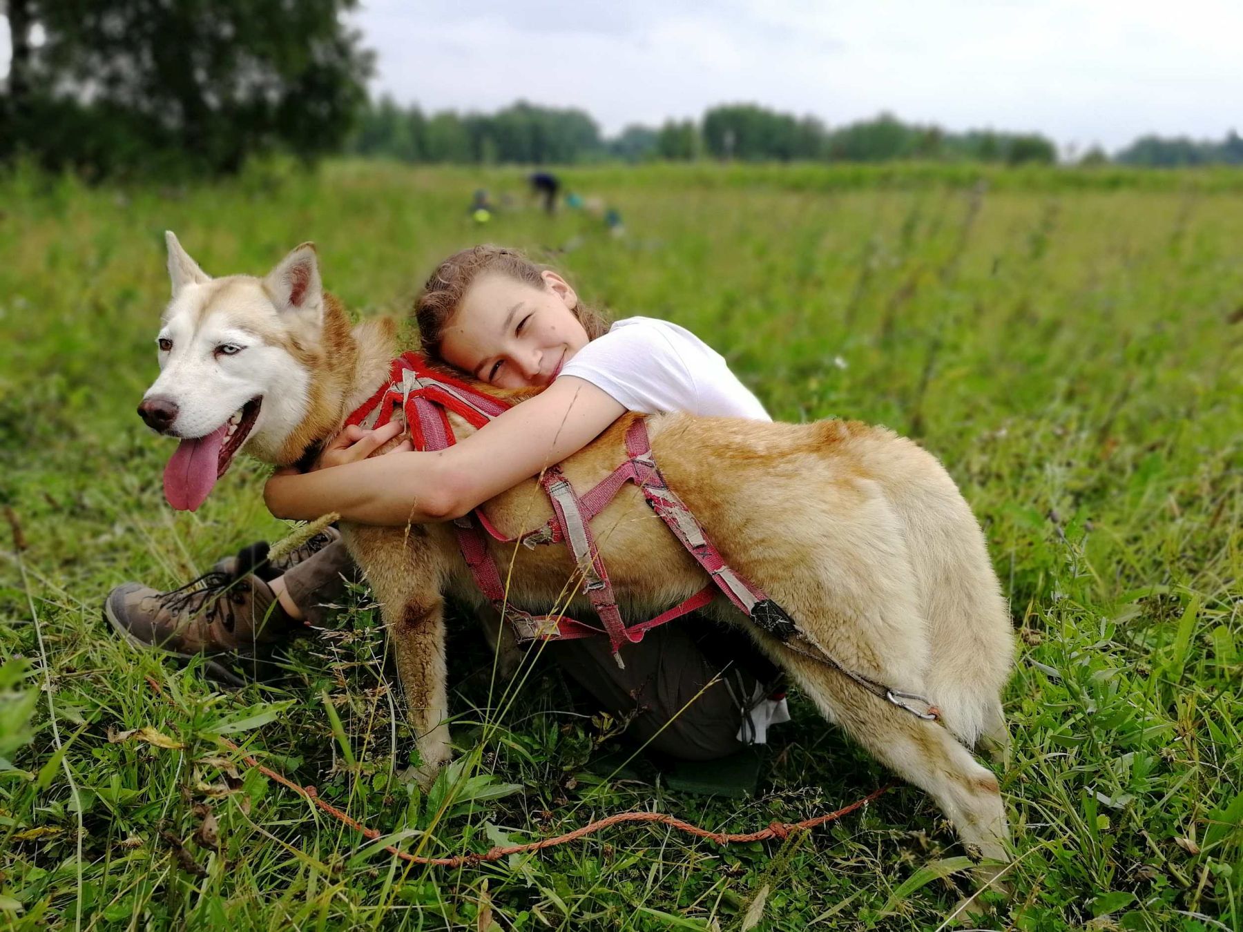 Зов Севера. Верное сердце. Коллекция приключений – детская программа, Костромская обл., Литвиново. Путевки на детские программы на 2026 год, фото программы 7