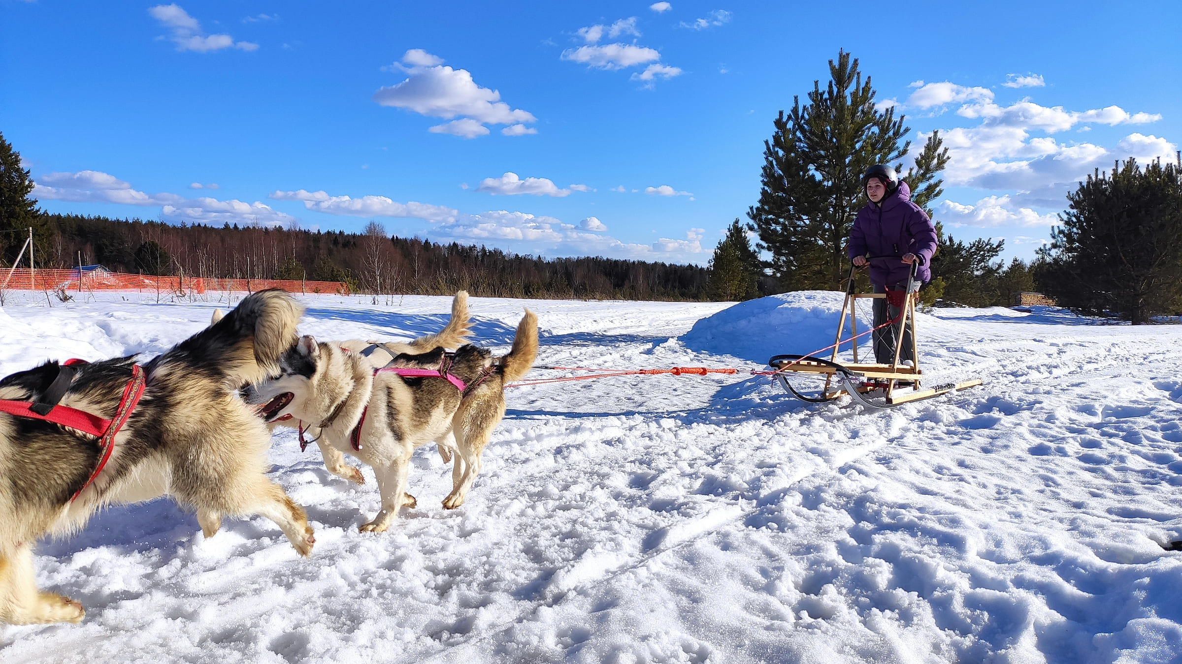 Зов Севера. Коллекция Приключений – туристический лагерь, Костромская обл., Нейский р-н. Путевки в детский лагерь на 2026 год, фото программы 4