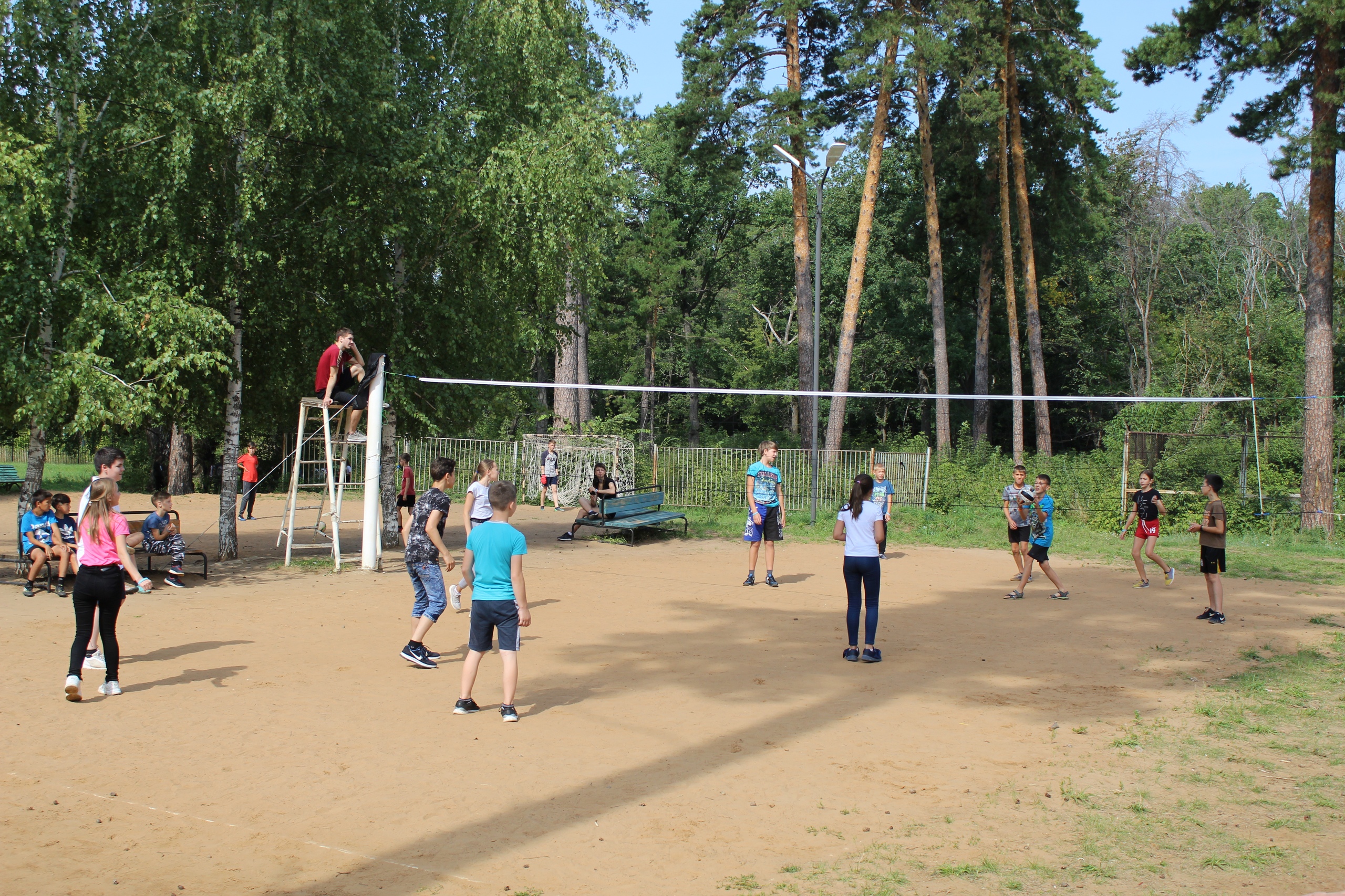«Сосенка» – оздоровительный лагерь, Ульяновская обл.. Путевки в детский лагерь на 2023 год, фото 2