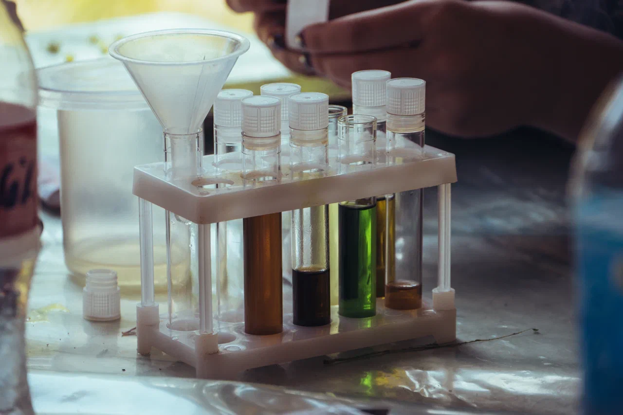 «Экологика. Полевой практикум на Экостанции Угра», Калужская область, Калуга – 3.