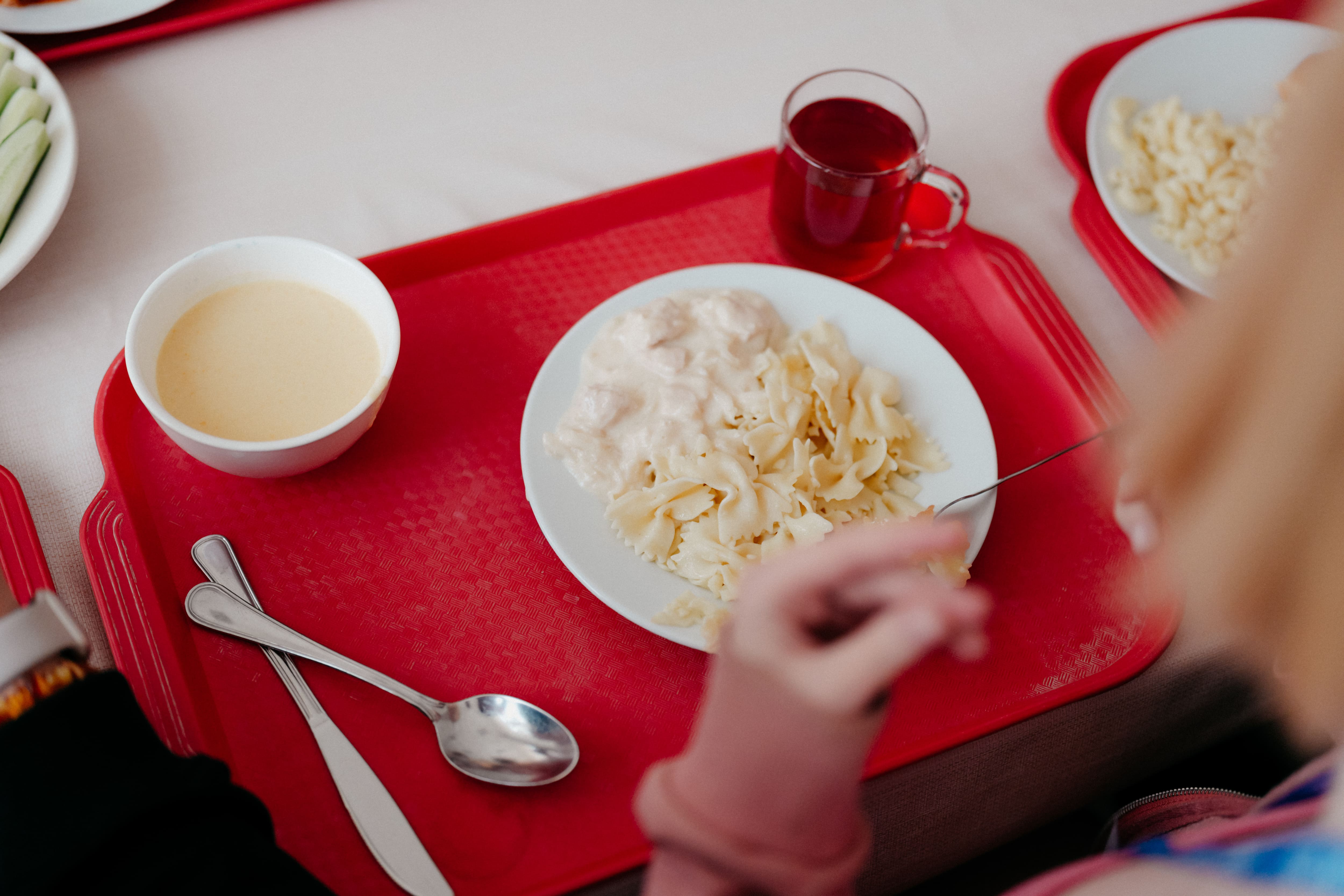 Образовательный лагерь УНПК МФТИ – IT и математический лагерь, Московская обл., Солнечногорск. Путевки в детский лагерь на 2026 год, фото питания 1