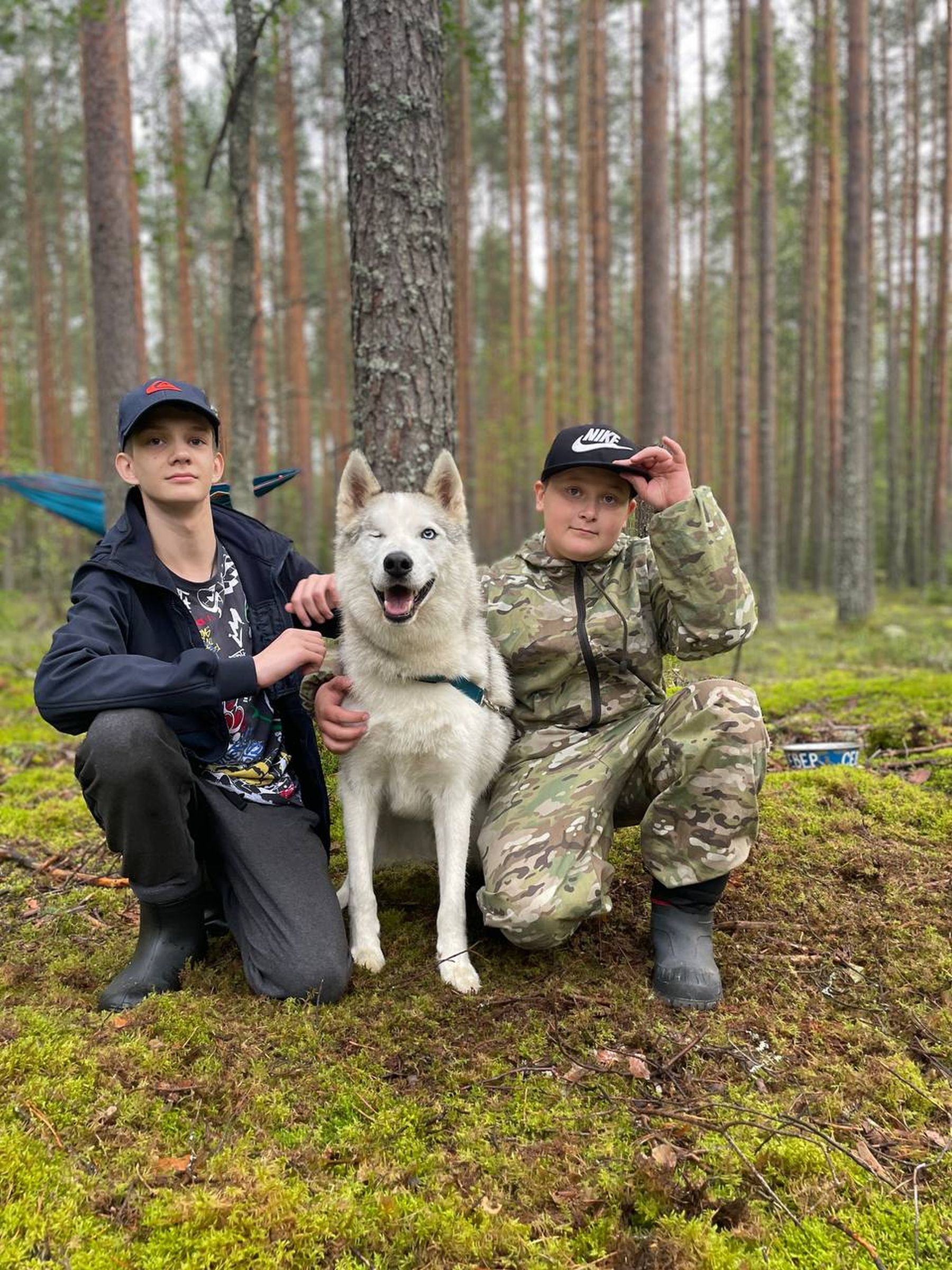 Зов Севера. Верное сердце. Коллекция приключений – детская программа, Костромская обл., Литвиново. Путевки на детские программы на 2026 год, фото программы 4