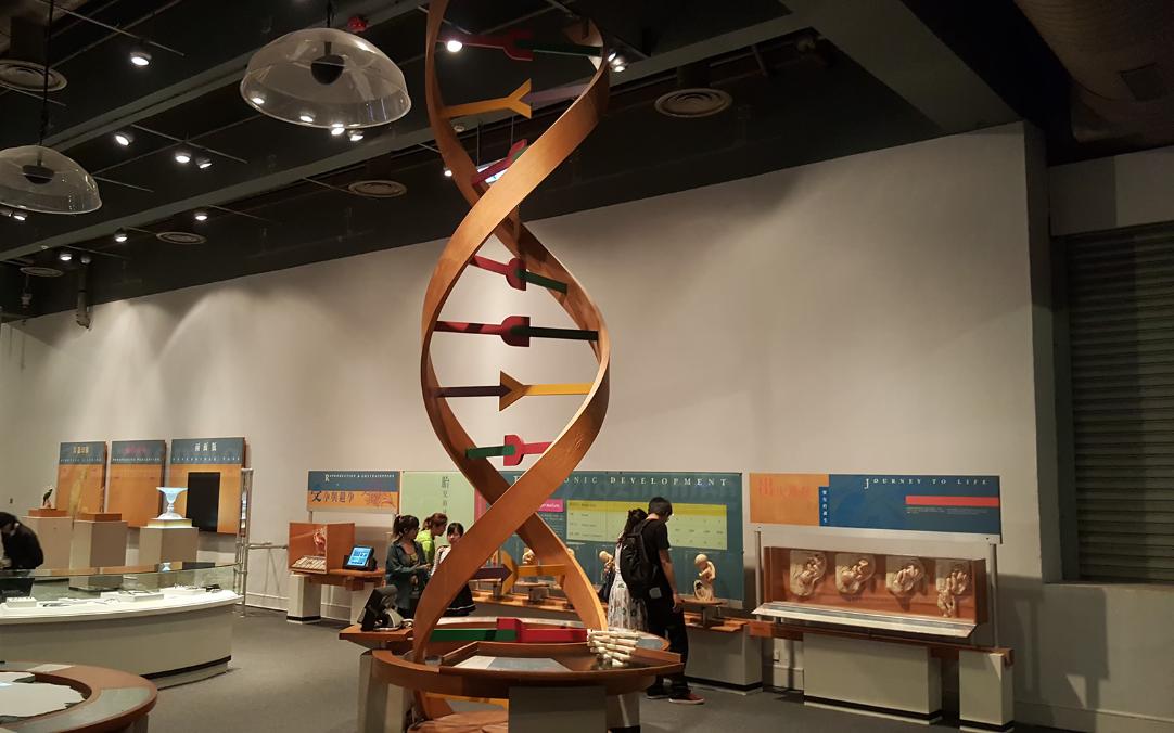 Языковой тур Китайский в Харбине – языковой лагерь, Китай, провинция Хэйлунцзян. Путевки в детский лагерь на 2026 год, фото программы 4