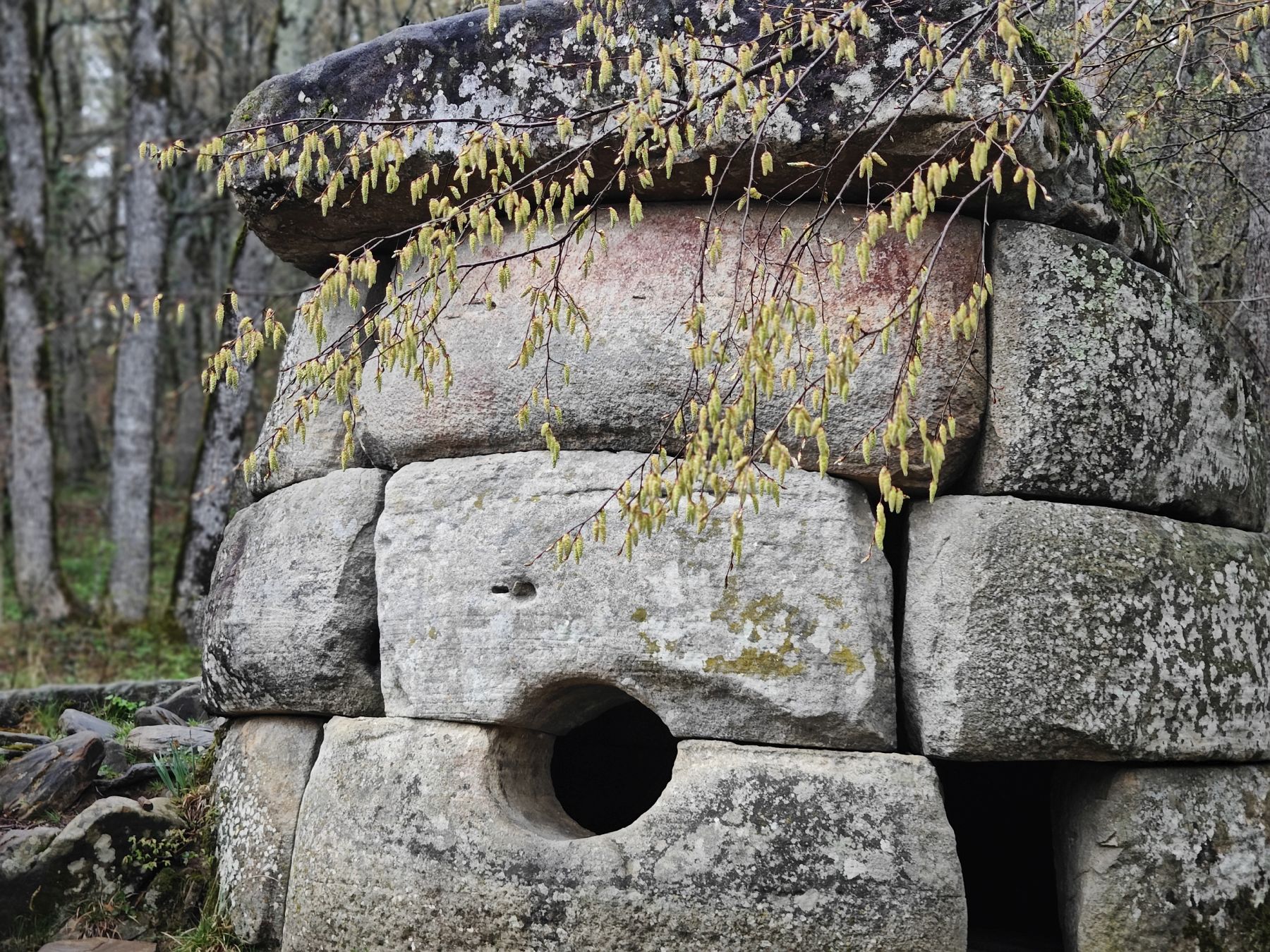 Вершины мира. Коллекция Приключений – детская программа, Краснодарский край, Геленджик. Путевки на детские программы на 2026 год, фото программы 6