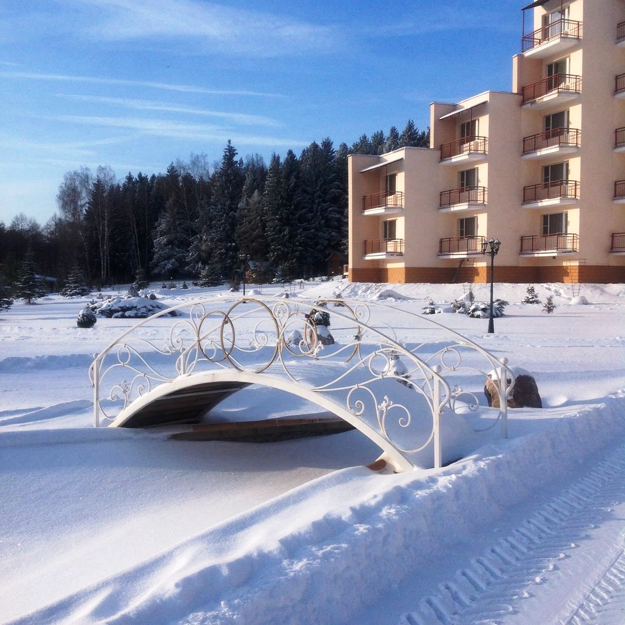 Junior Camp – языковой лагерь, Московская обл., Коломенский р-н. Путевки в детский лагерь на 2026 год, фото размещения 2
