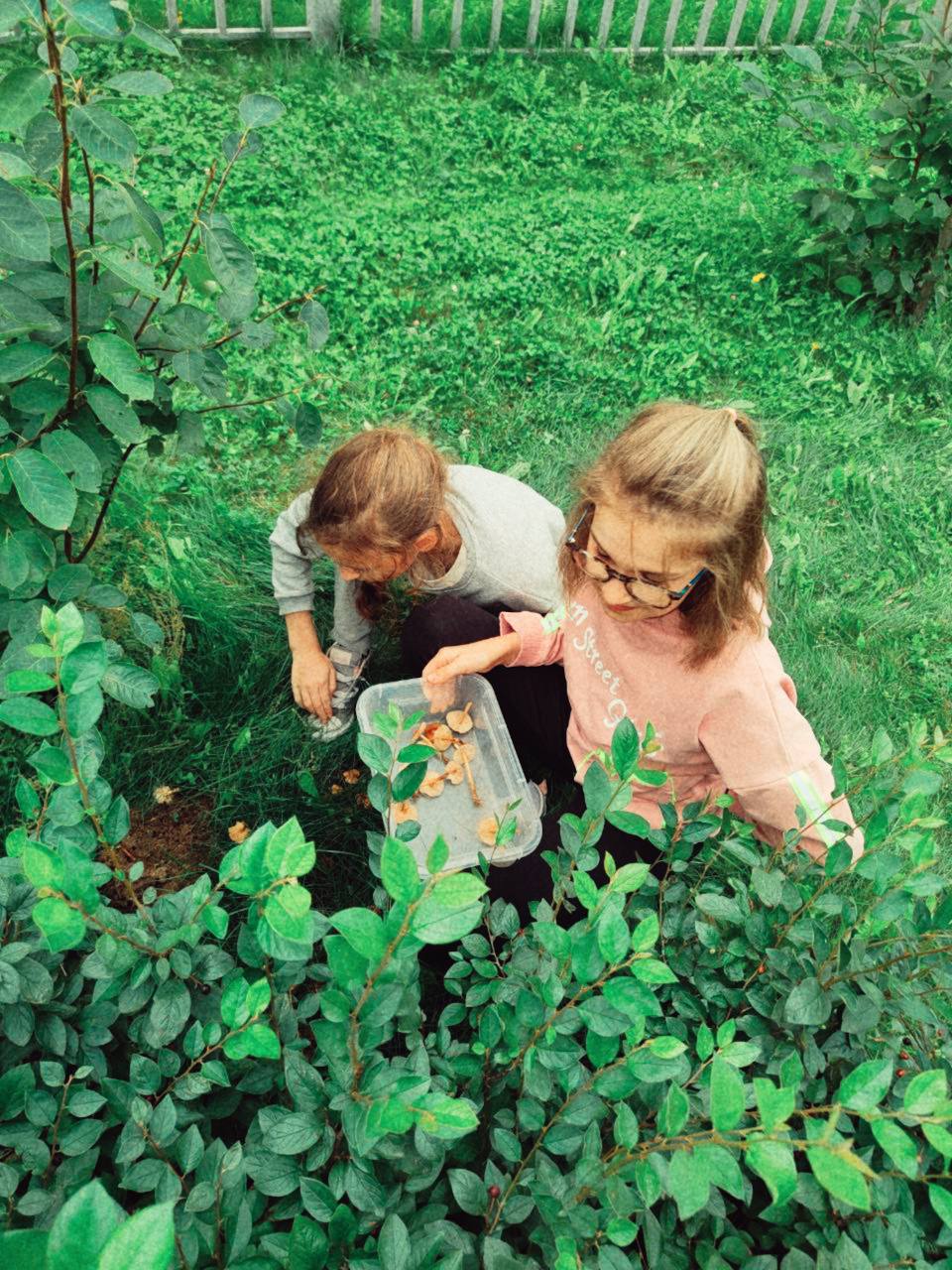 Sciencely. Летние городские лаборатории. Мичуринский – детская программа, Москва, м. Мичуринский проспект. Путевки на детские программы на 2026 год, фото программы 7