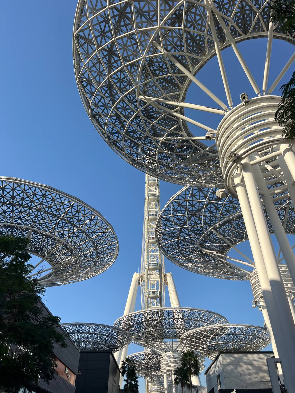 Языковой тур BC Dubai Camp – языковой лагерь, ОАЭ, Дубай. Путевки в детский лагерь на 2026 год, фото программы 2