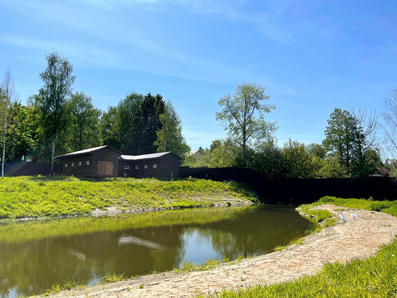 Баскетбольные сборы Stremlenie Camp Пушкино – спортивный лагерь, ​Московская обл., Пушкинский р-н. Путевки в детский лагерь на 2026 год, фото размещения 9