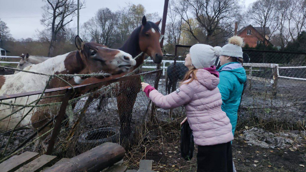 Кэмп Орбита – детская программа, Московская обл., Чеховский р-н. Путевки на детские программы на 2026 год, фото 12