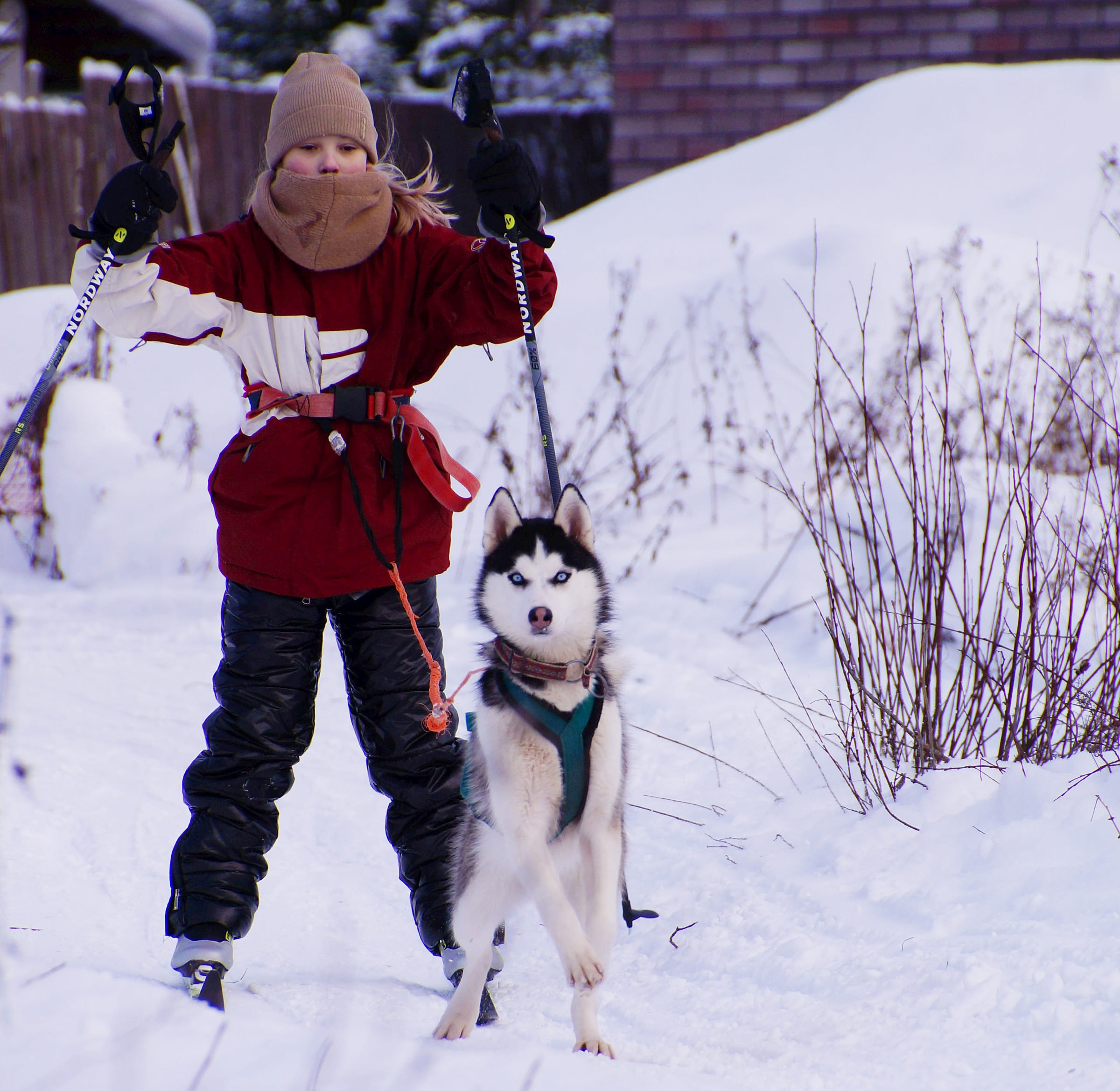Зов Севера. Коллекция Приключений – туристический лагерь, Костромская обл., Нейский р-н. Путевки в детский лагерь на 2026 год, фото 12